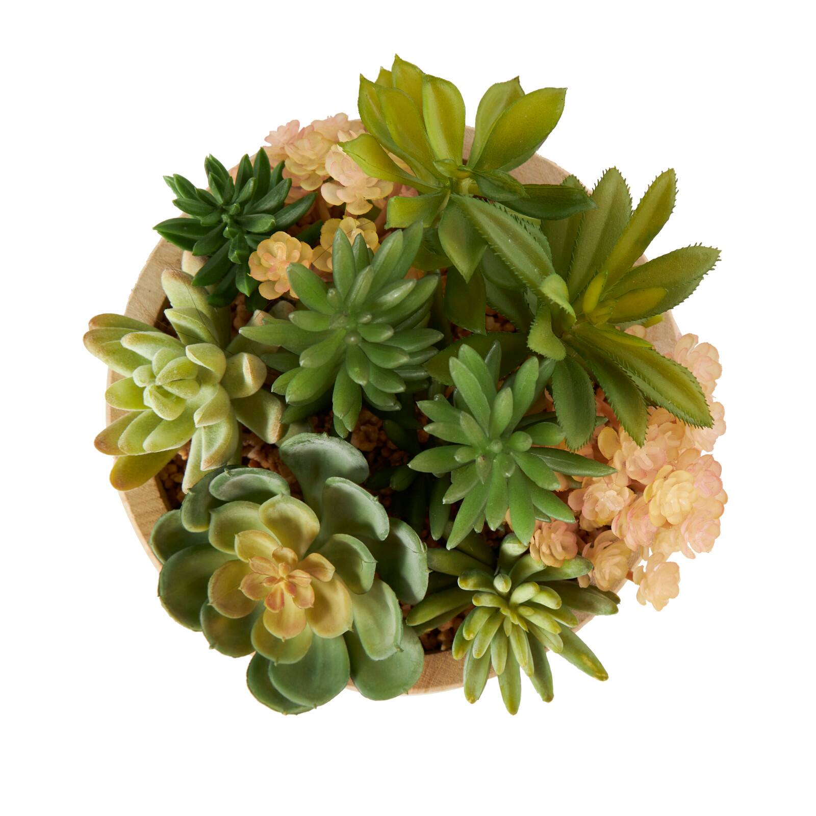 7&#x22; Succulent Artificial Plant with Natural Pot