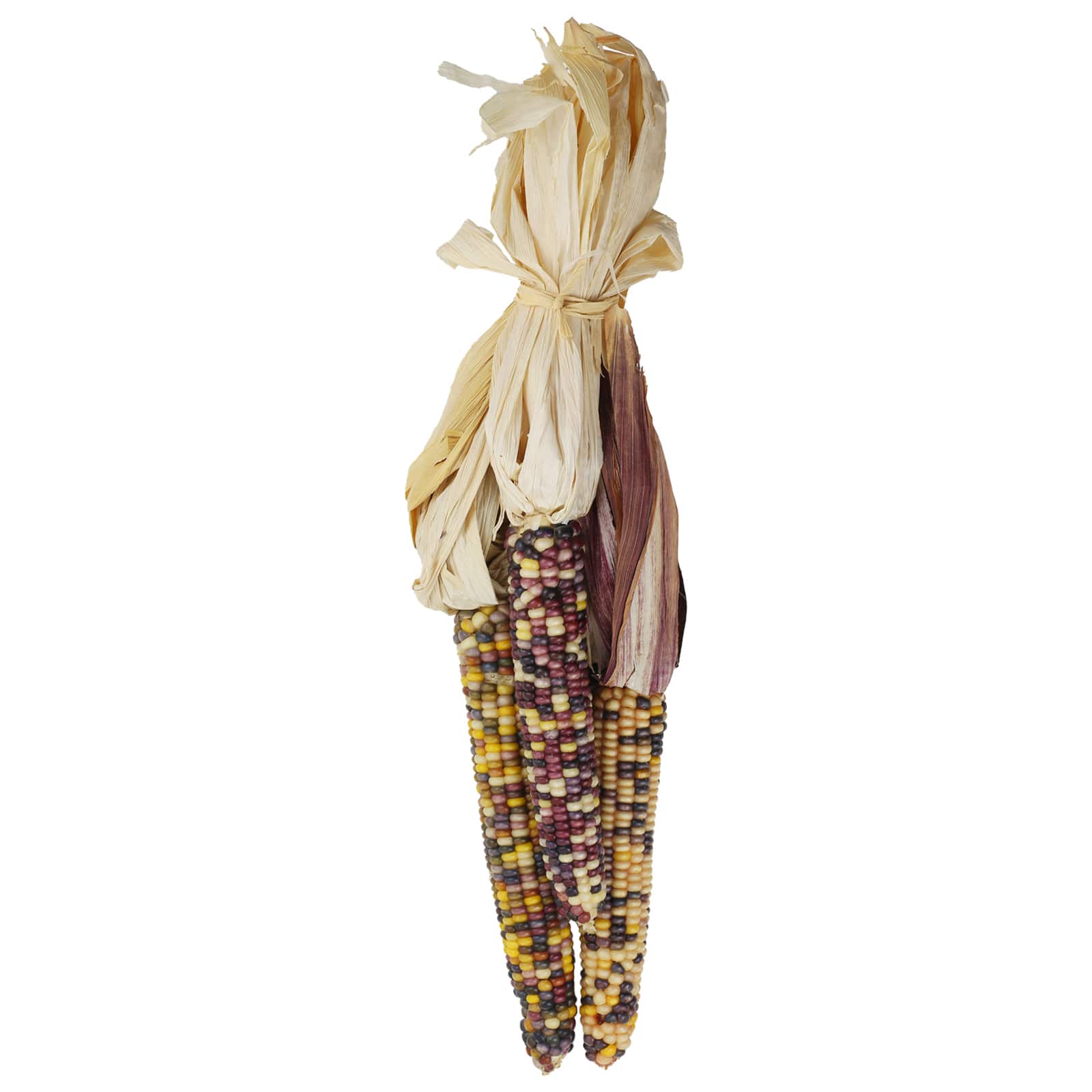 Large Harvest Corn Bundle by Ashland®