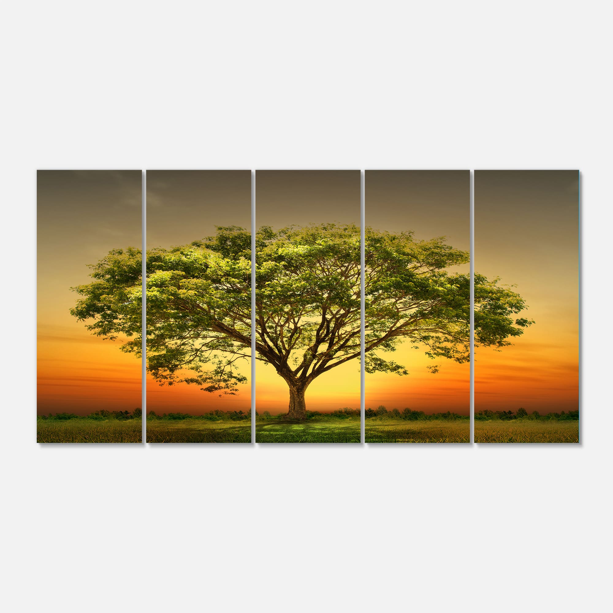 Designart - Green Tree against Setting Sun - Trees Canvas Art Print