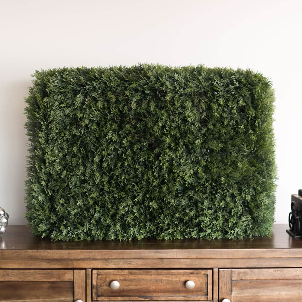 3ft. Green Cedar Hedge