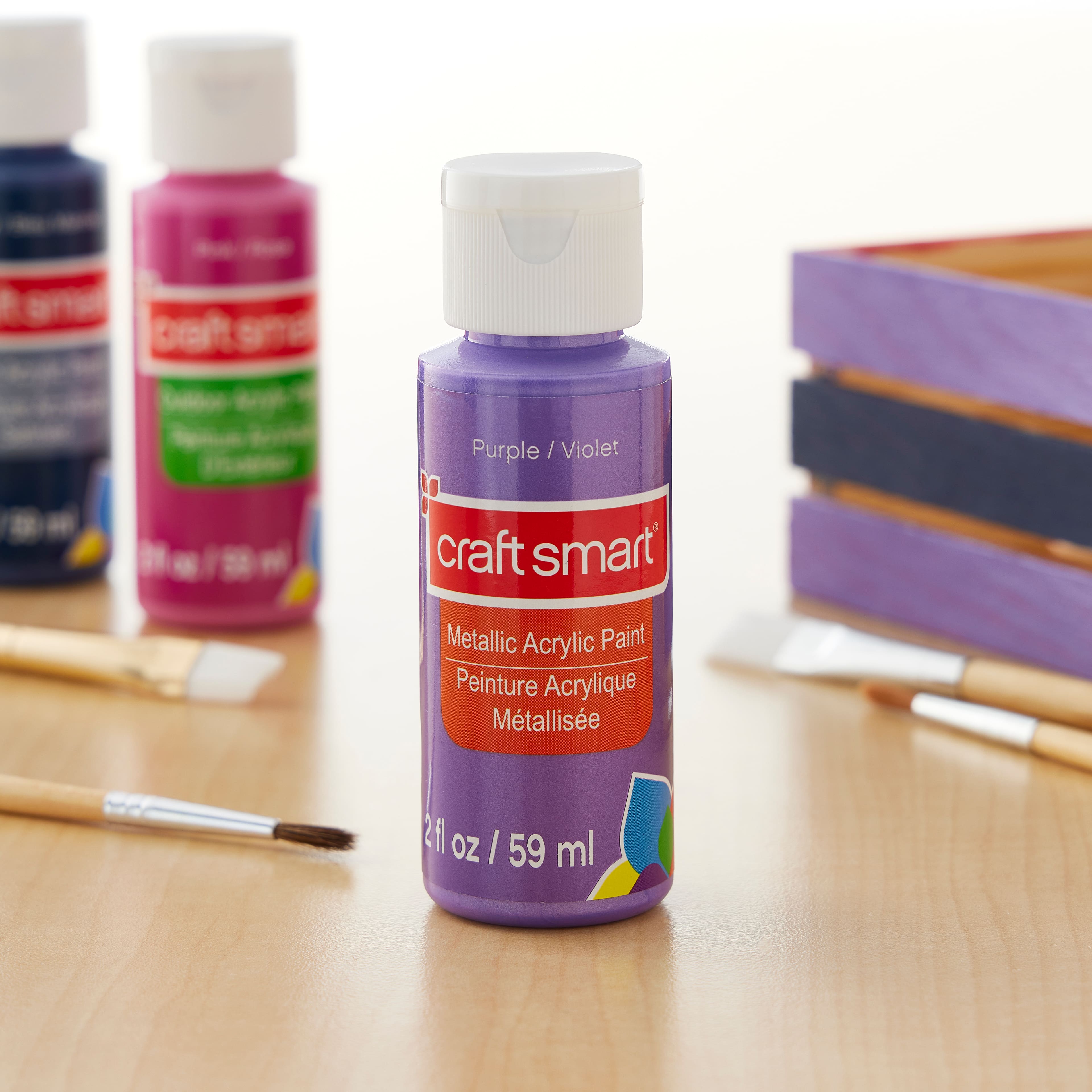 Metallic Paint by Craft Smart®