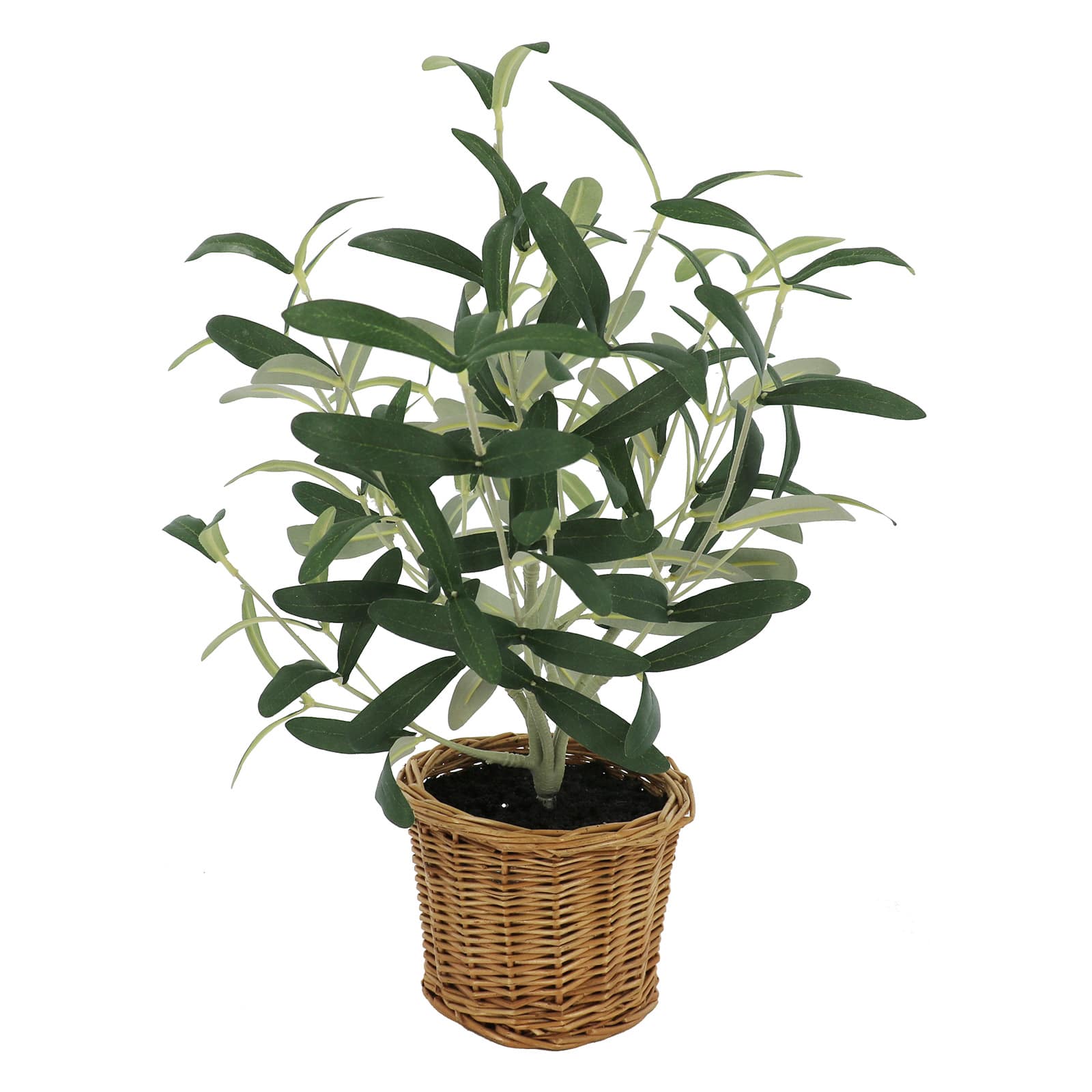 16&#x22; Olive Leaf Bush in Rattan Basket by Ashland&#xAE;