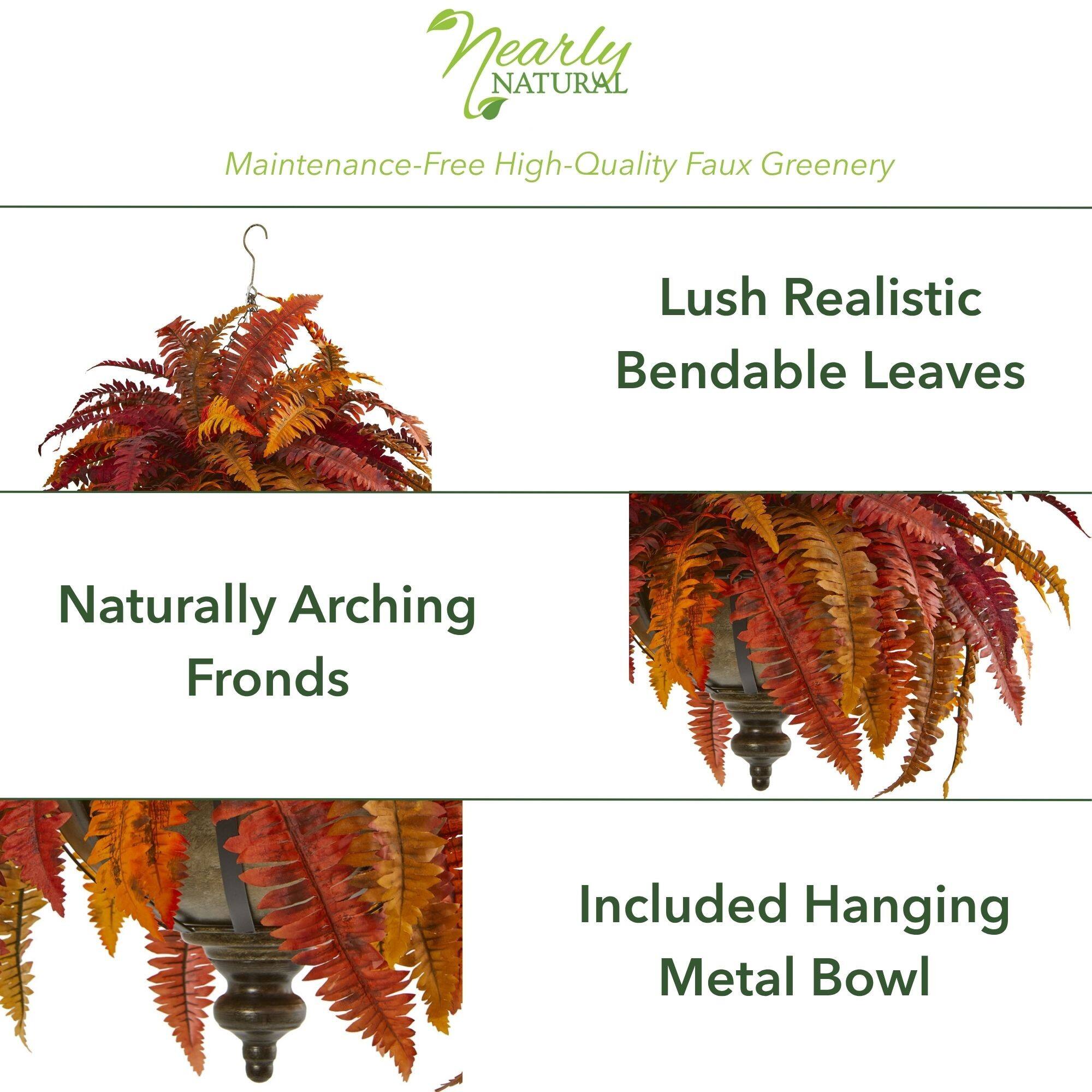 2ft. Autumn Boston Fern in Hanging Metal Bowl