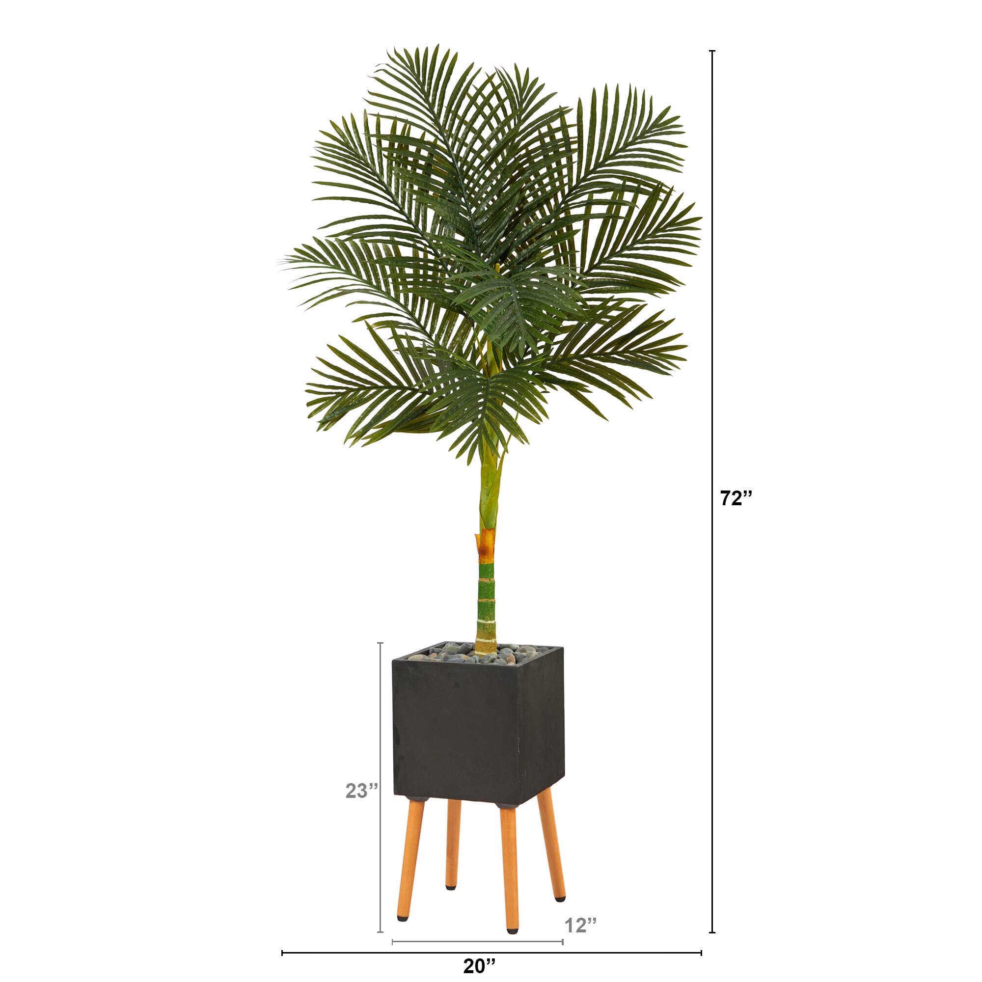 6ft. Golden Cane Palm Tree in Black Planter with Stand