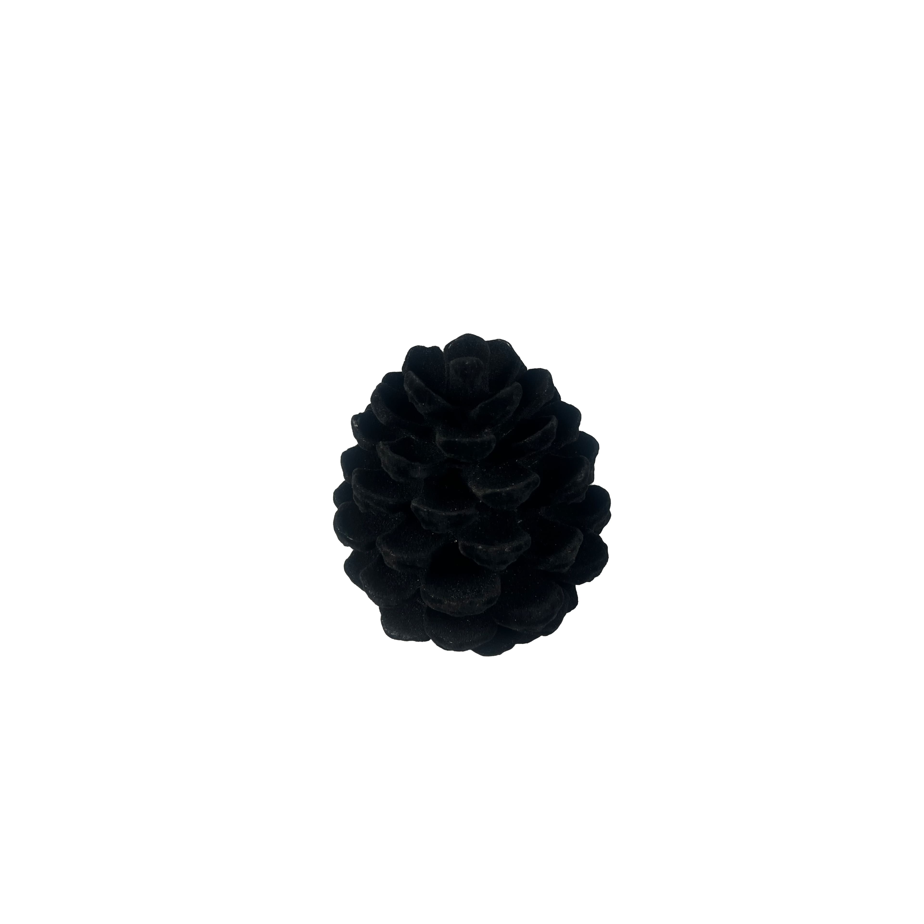 5&#x22; Black Flocked Pinecone Tabletop D&#xE9;cor by Ashland&#xAE;