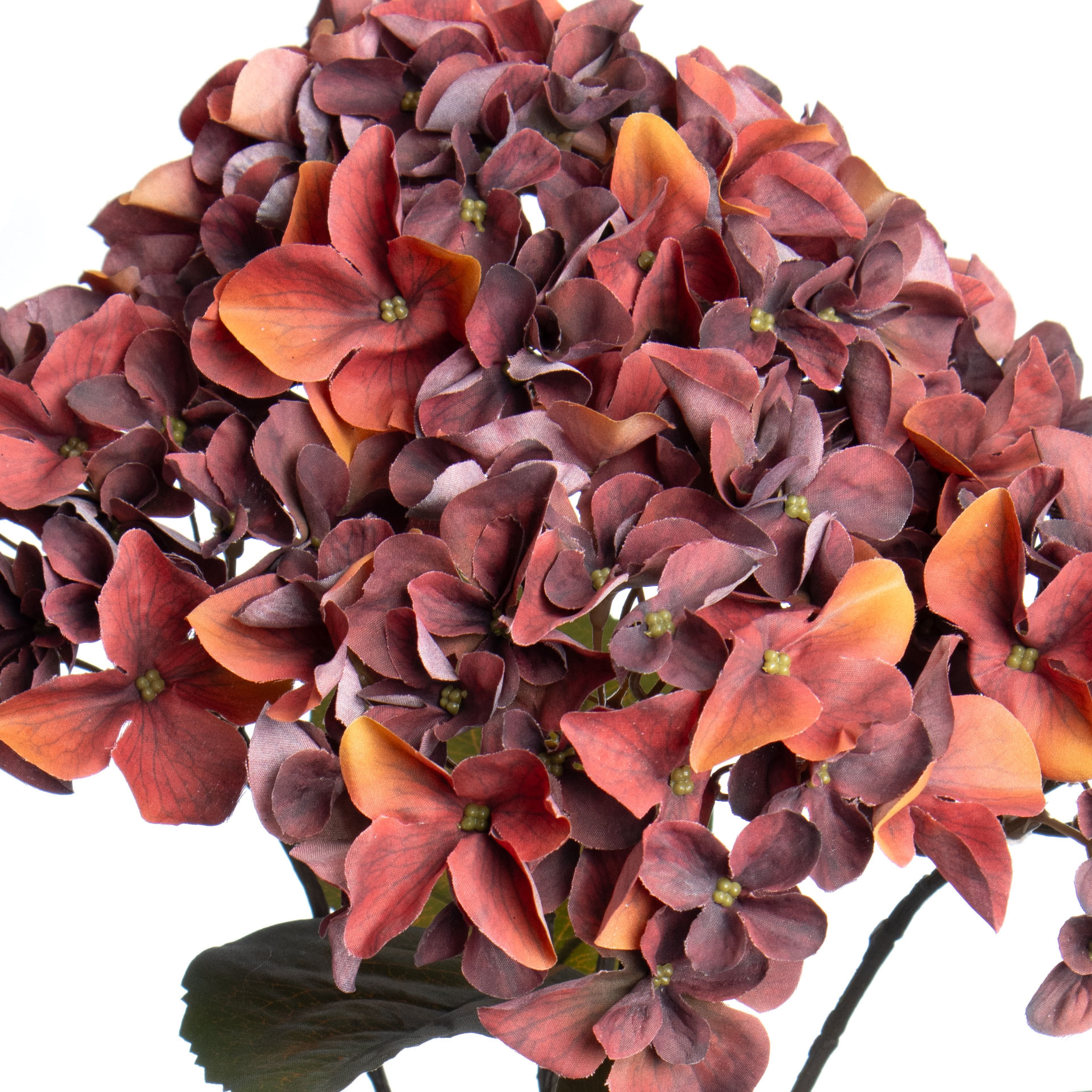 20&#x22; Burgundy Hydrangea Deluxe Bush by Ashland&#xAE;