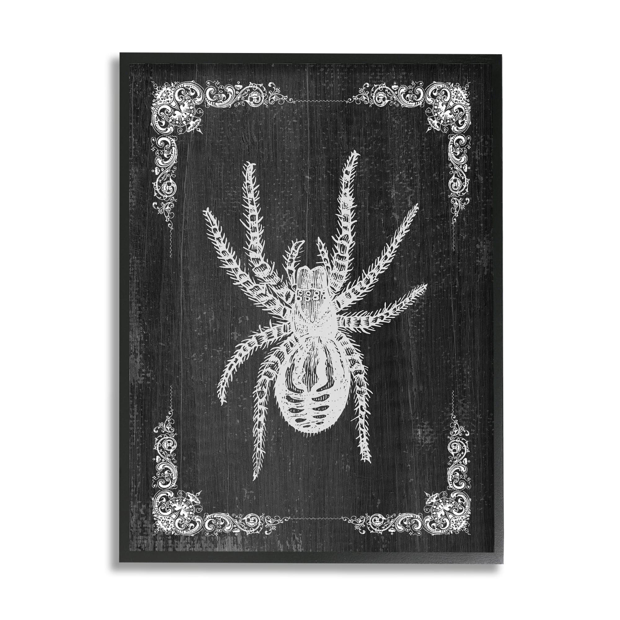 Stupell Industries Black & White Spider Framed Giclee Art