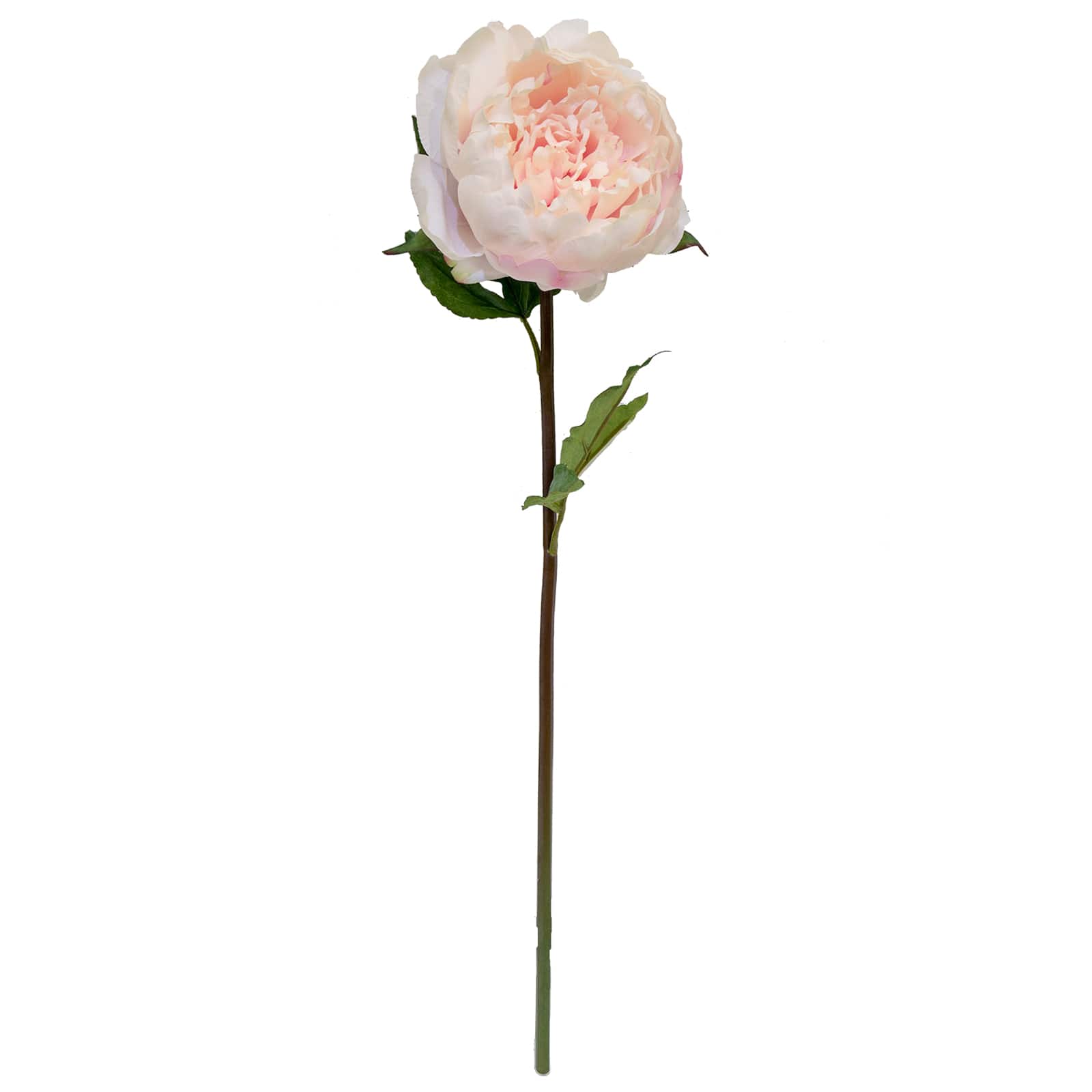 12 Pack: Light Pink King Peony Stem by Ashland&#xAE;