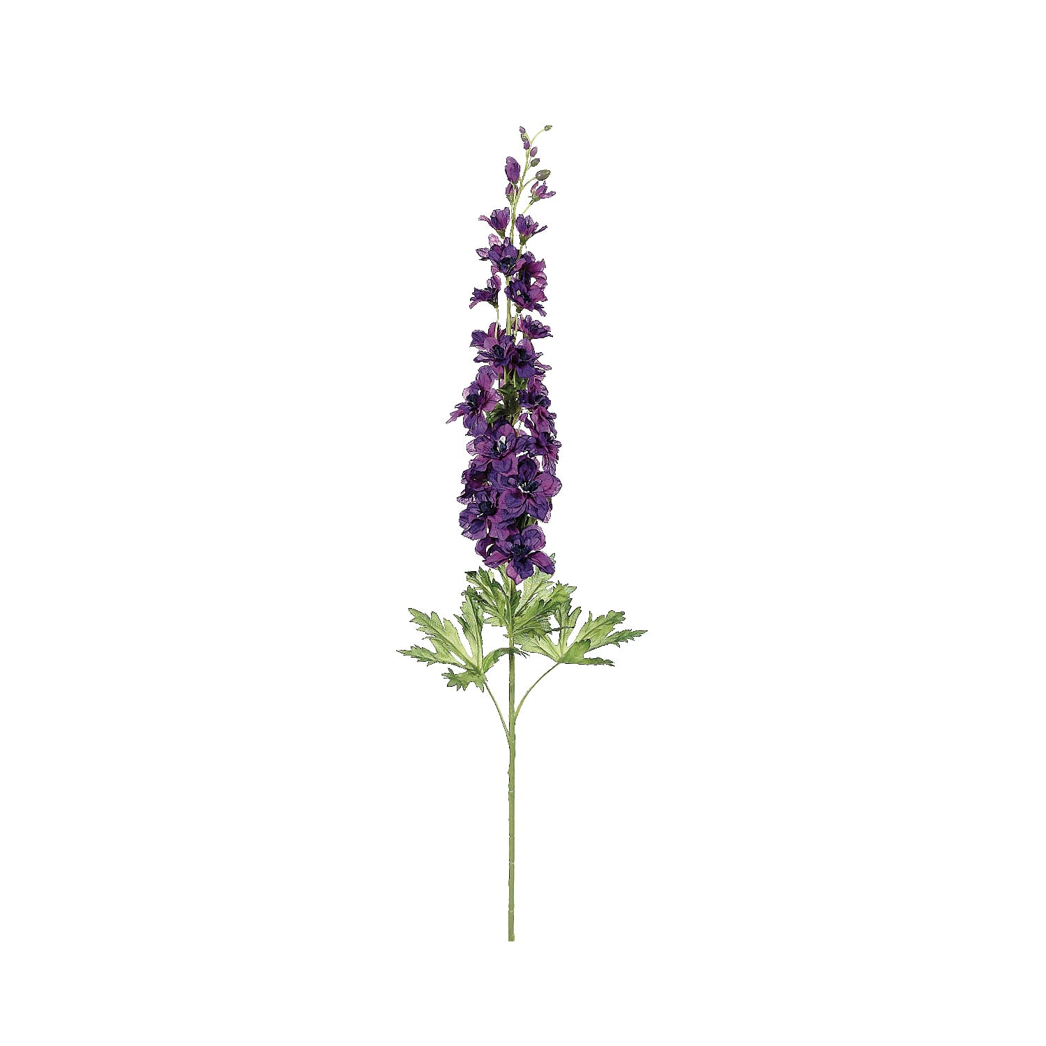 Violet Delphinium Spray