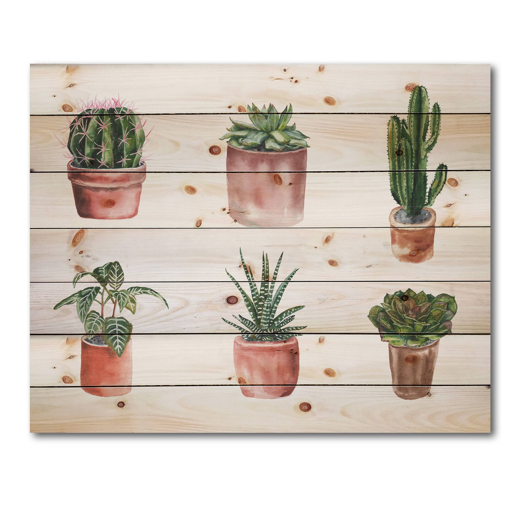 Designart - Flowers In A Pot Cacti and Succulents - Botanical Print on Natural Pine Wood