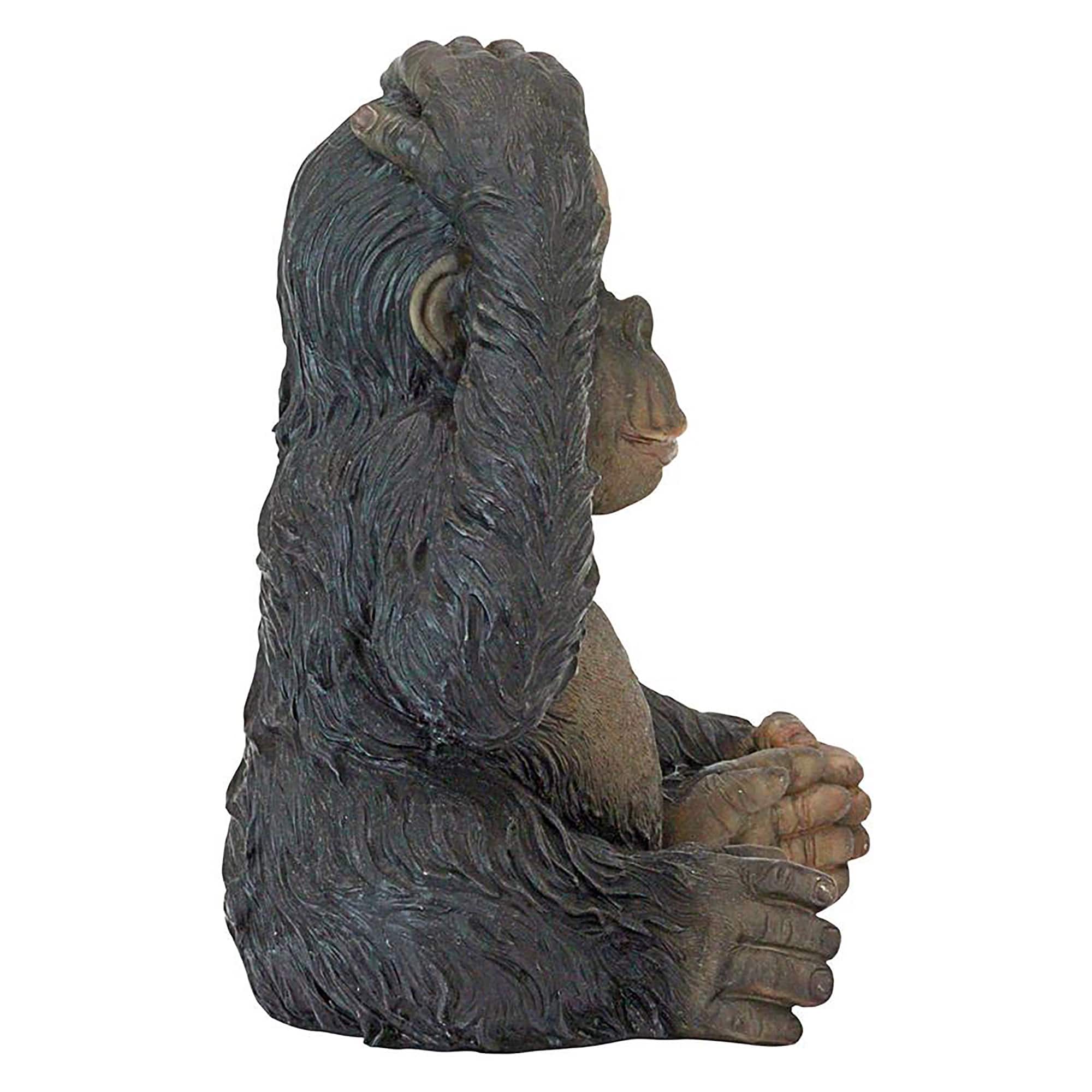 Design Toscano 13&#x22; Curly the Chimpanzee of the Jungle Funny Monkey Statue