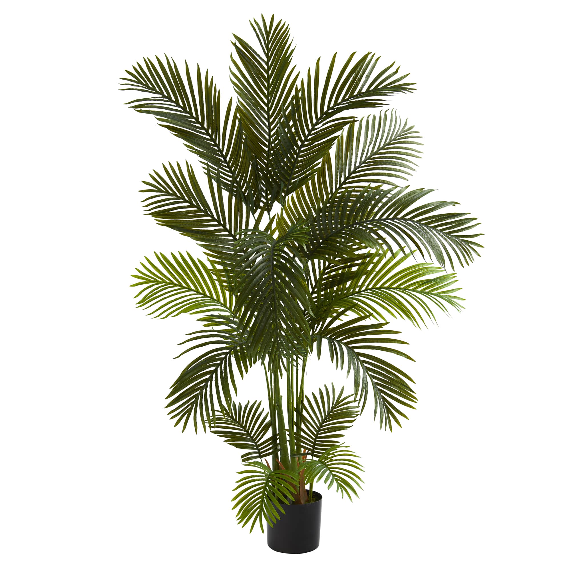 5.5ft. Potted Areca Palm Tree