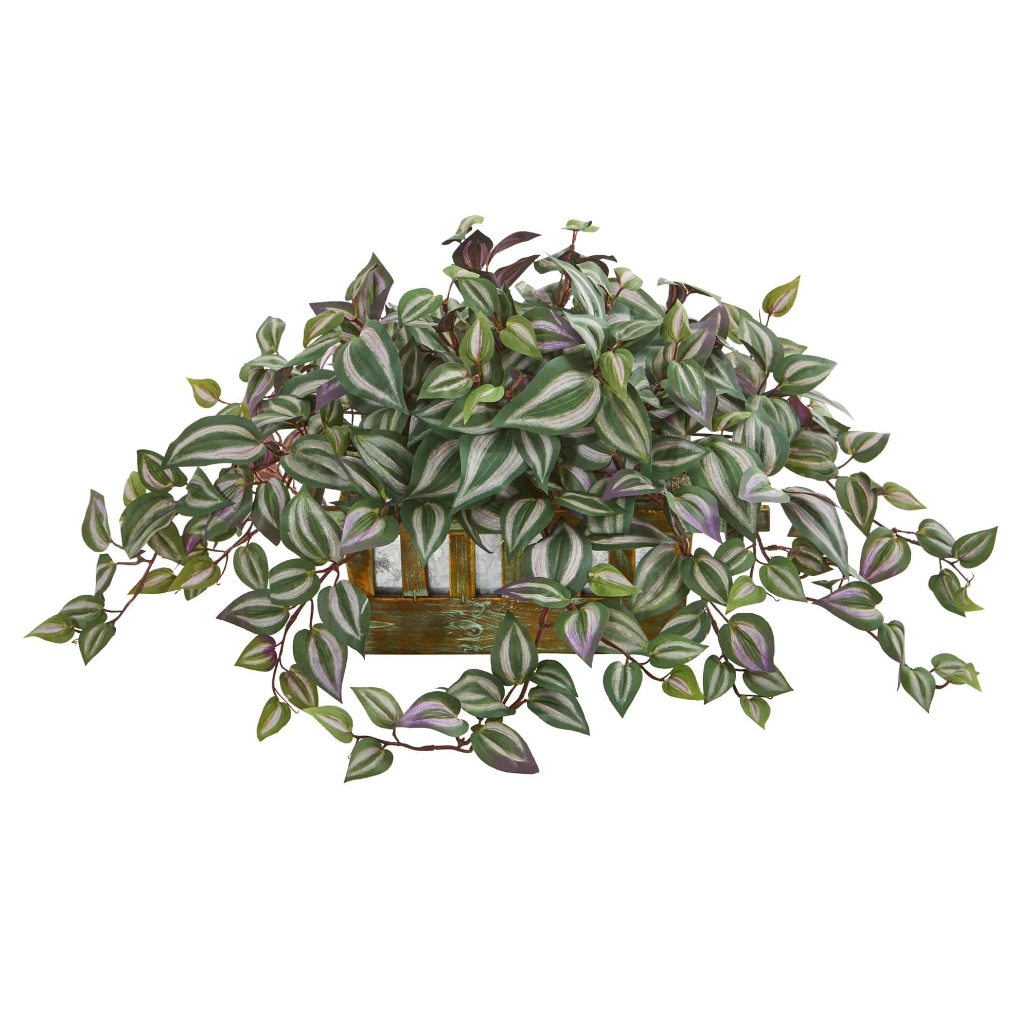 13&#x22; Inchplant in Decorative Planter