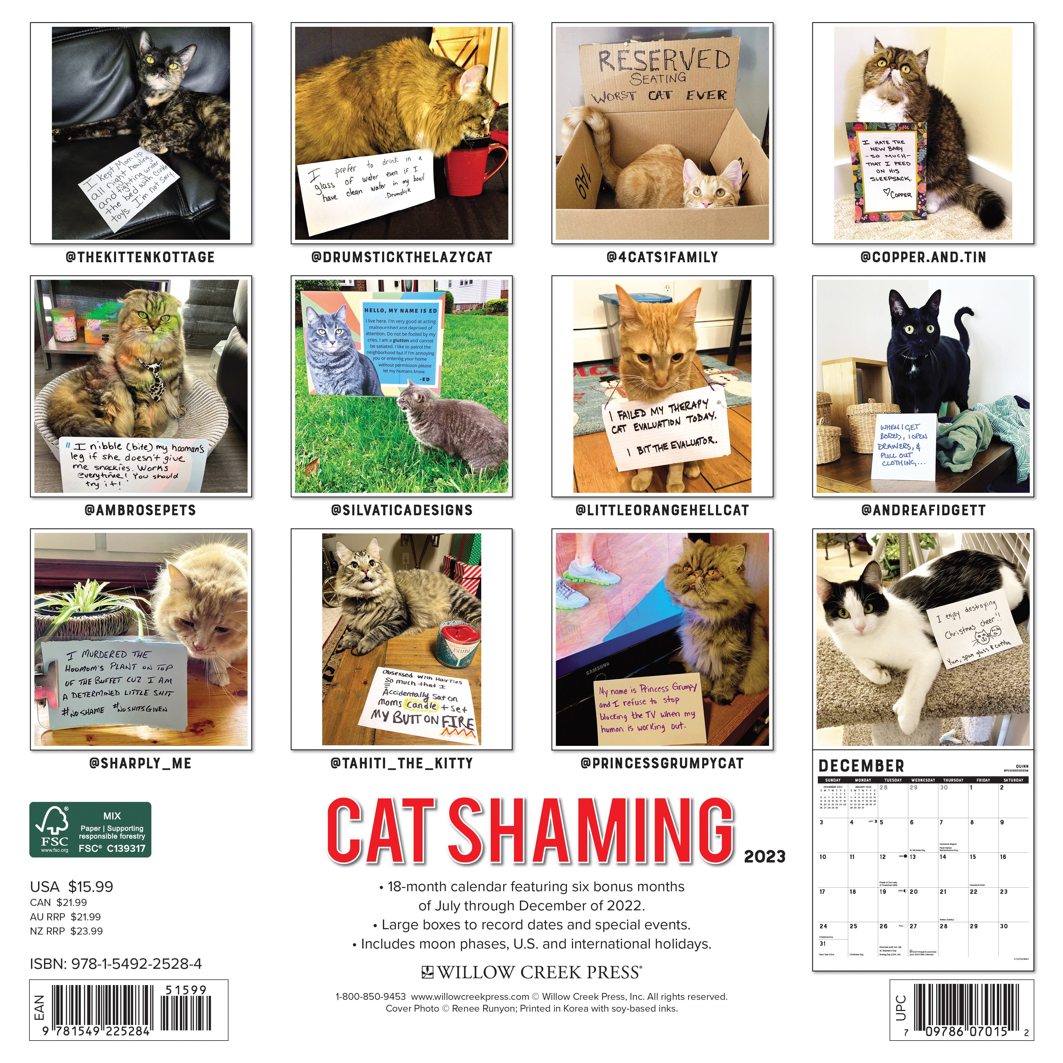 2023 Cat Shaming Wall Calendar | Michaels