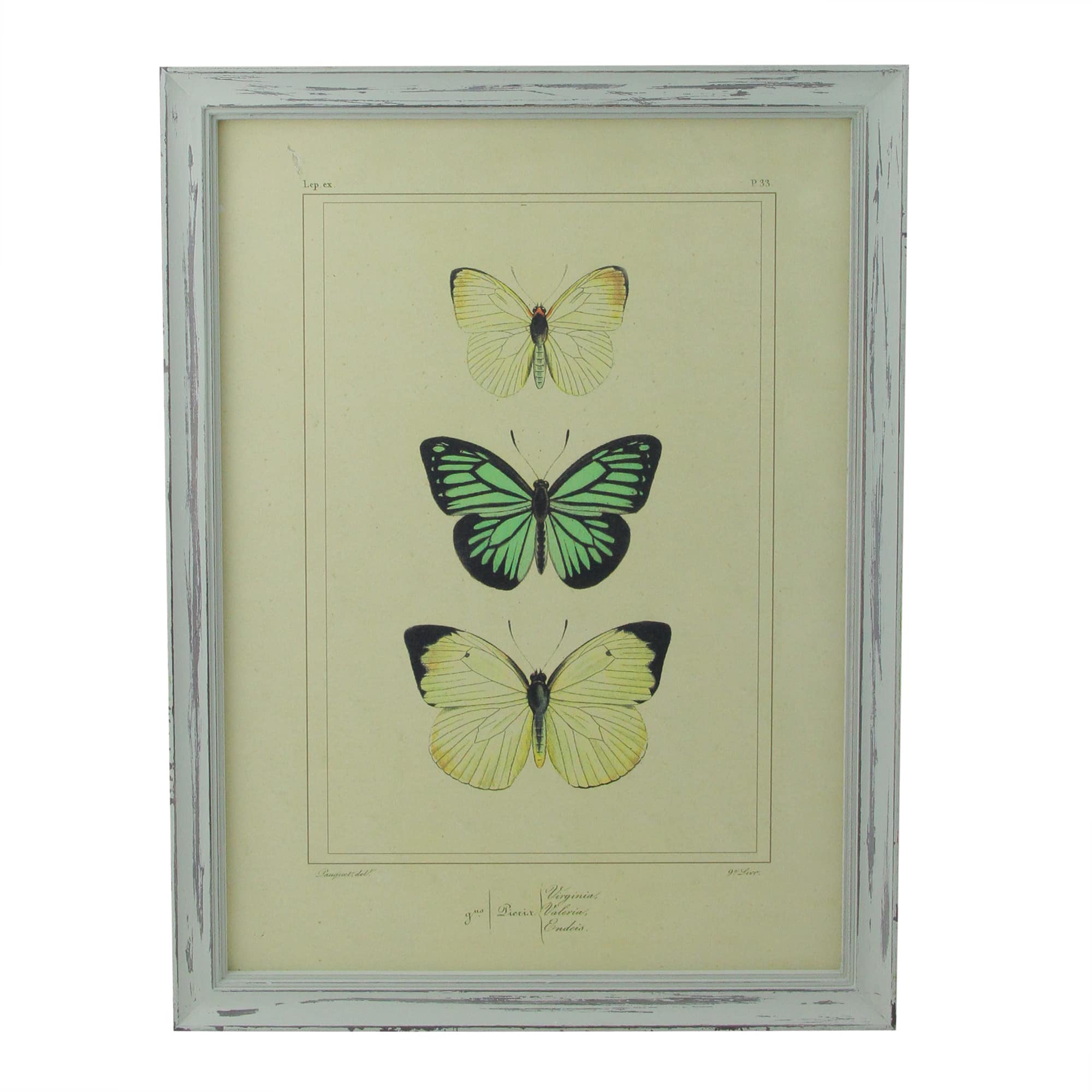 Yellow & Green Butterfly Print Wall Art