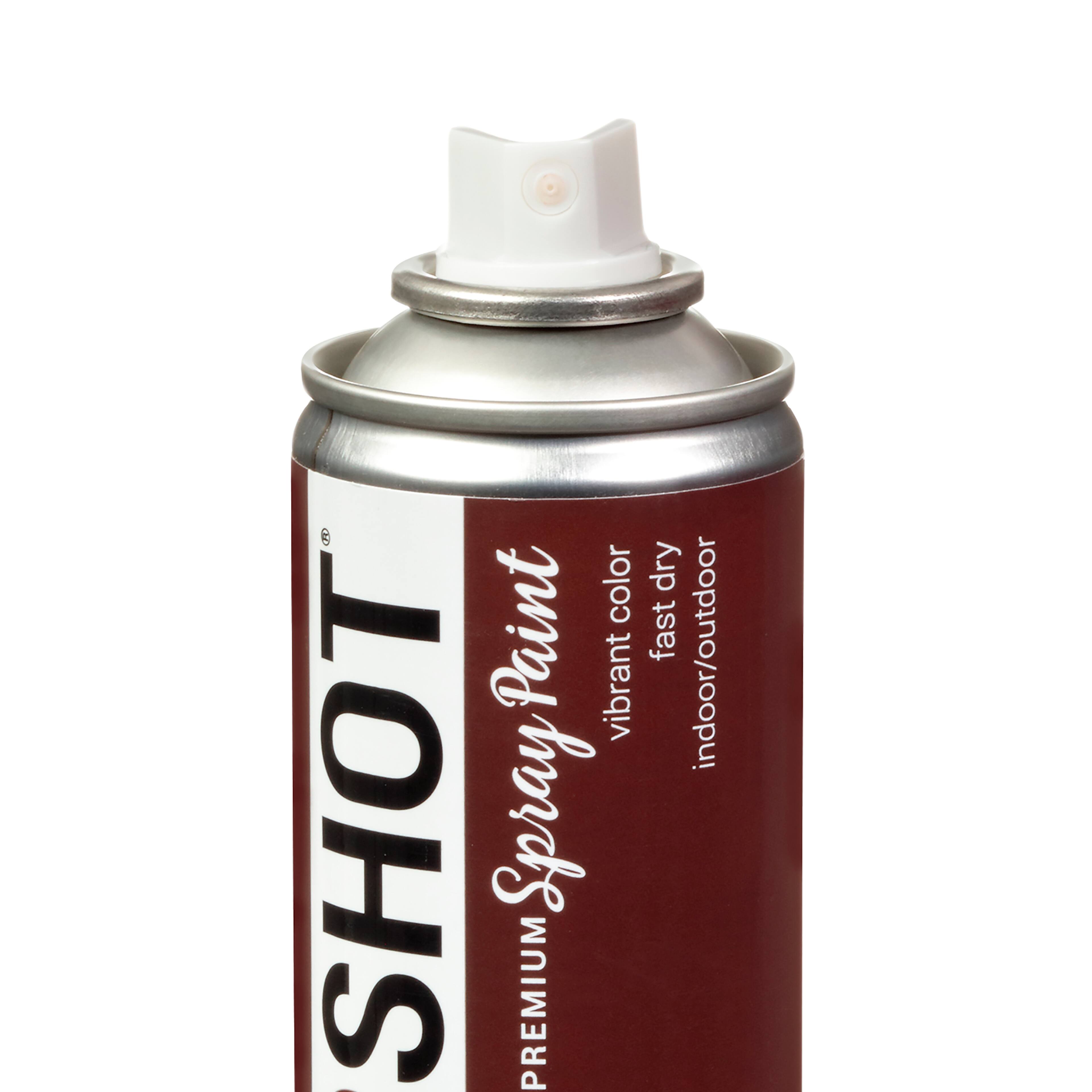COLORSHOT&#xAE; Premium Gloss Spray Paint