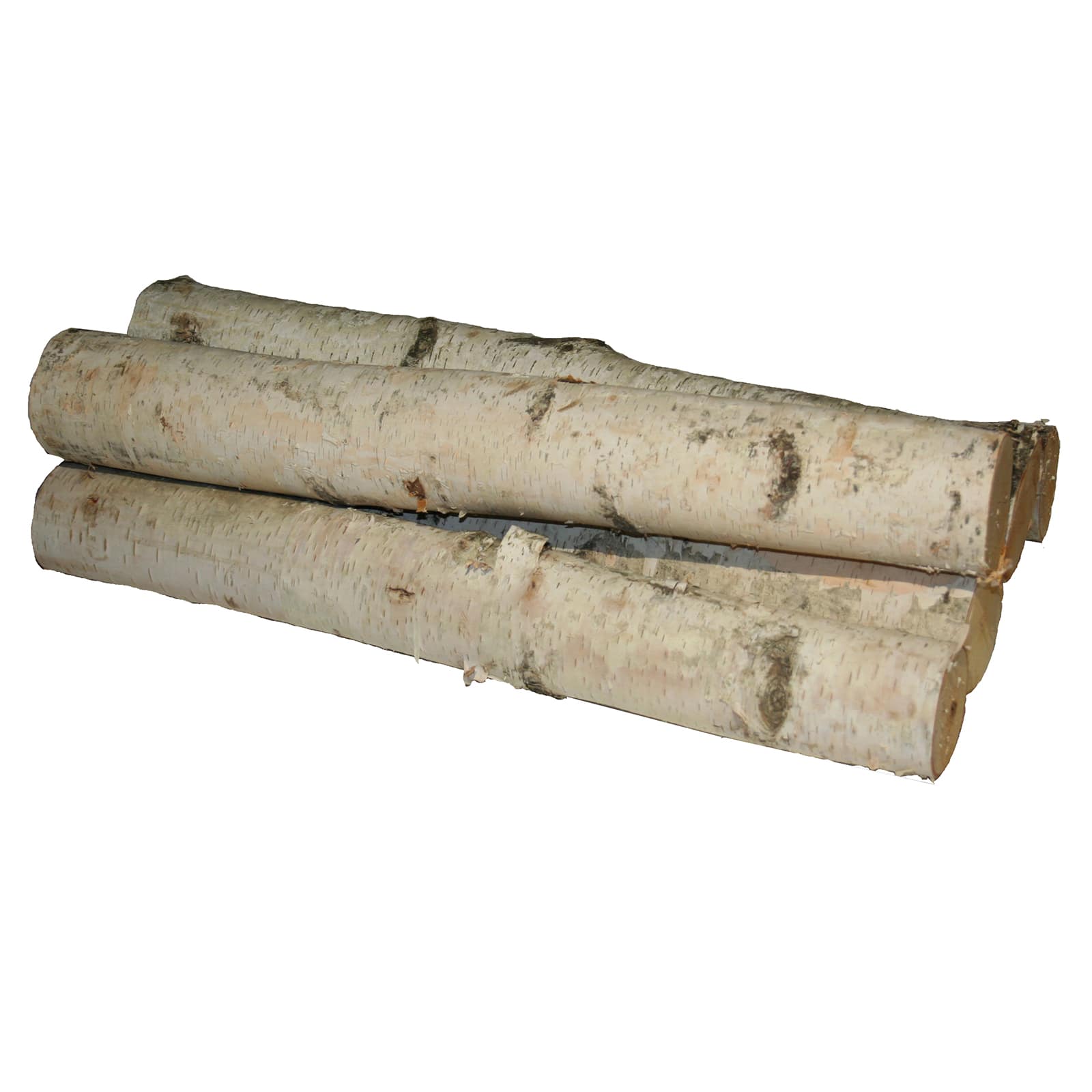 Wilson® Enterprises X-Large White Birch Log Set