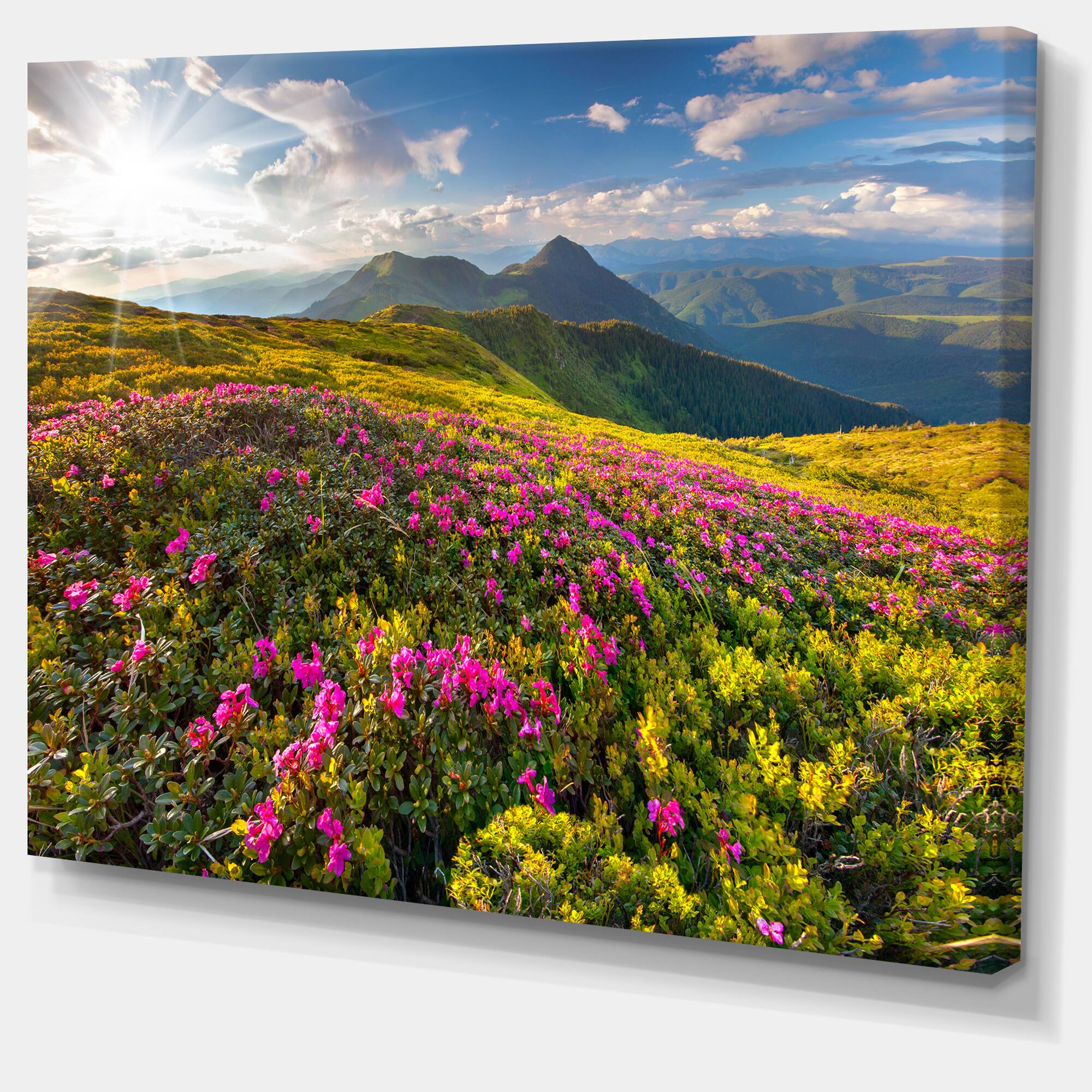 Designart - Summer Day Rhododendron Flowers - Landscape Canvas Art Print