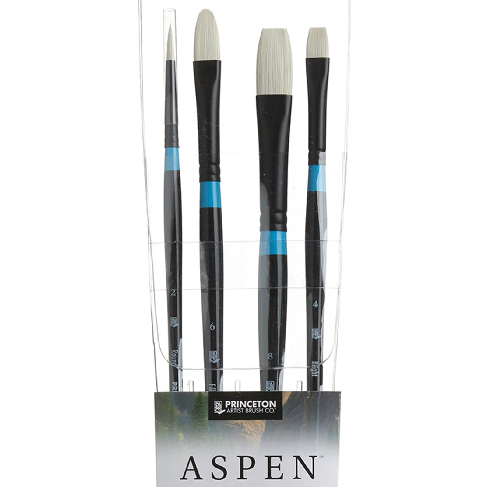 Princeton&#x2122; Aspen&#x2122; Professional Brush Set