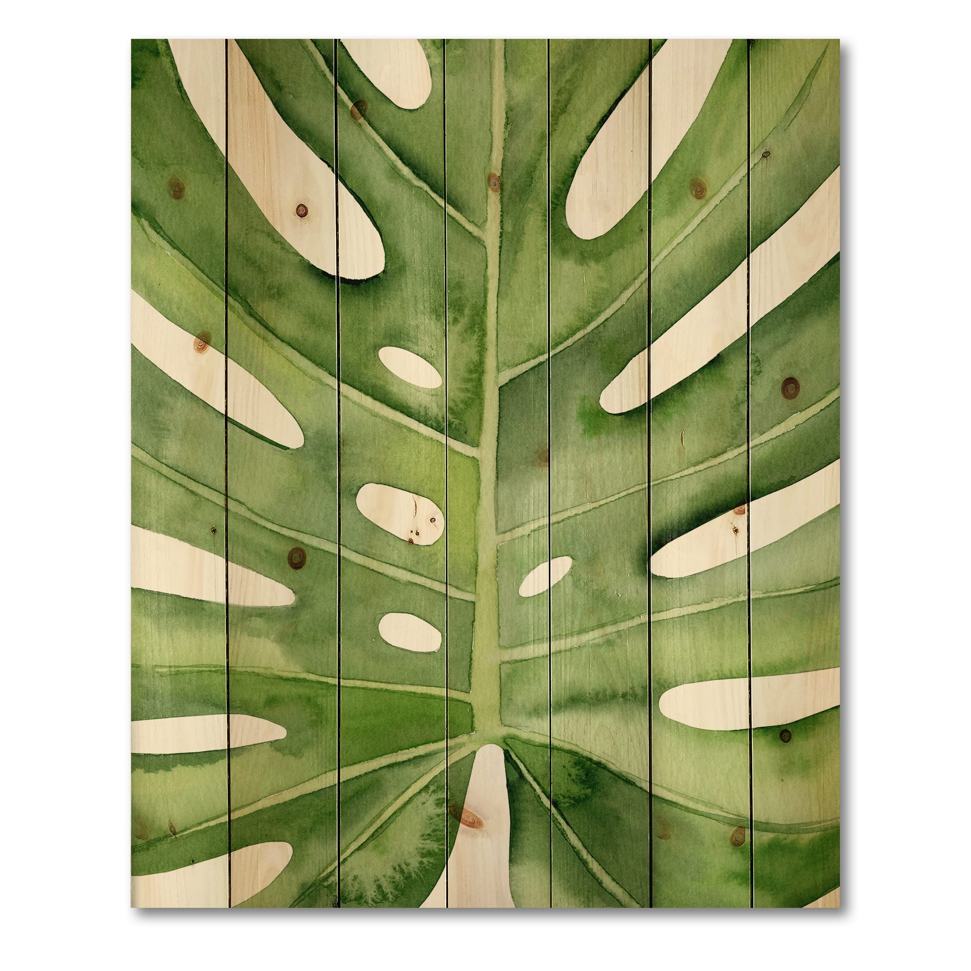 Designart - Green Monstera Leaf Tropical Palm Botanical Detail - Tropical Print on Natural Pine Wood