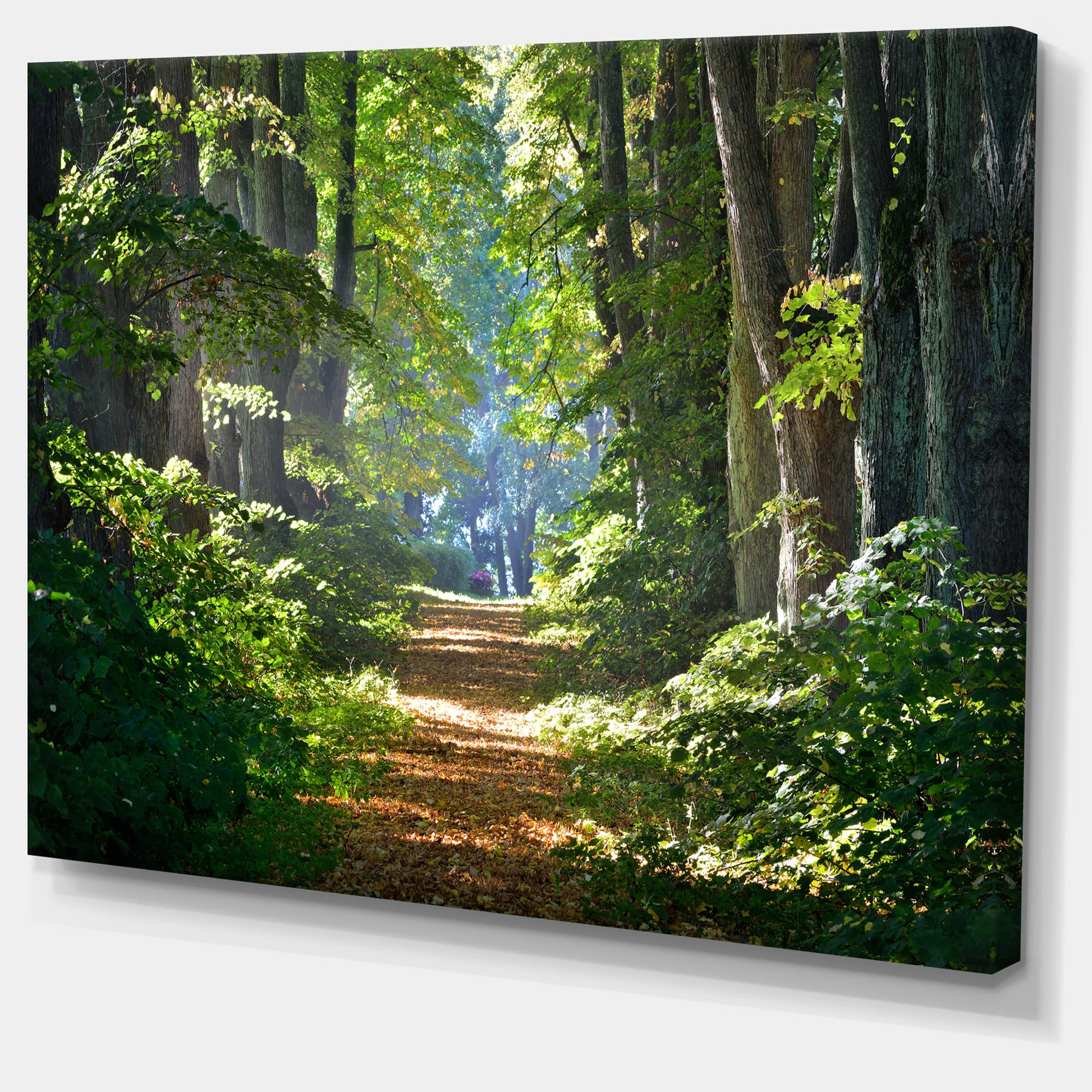 Designart - Bright Green Forest in Morning - Landscape Photography Canvas Print