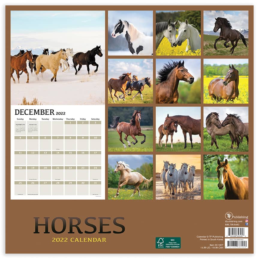 2019 Extra Slim Month to View Calendar Horses Ponies Foals & Working Horses 