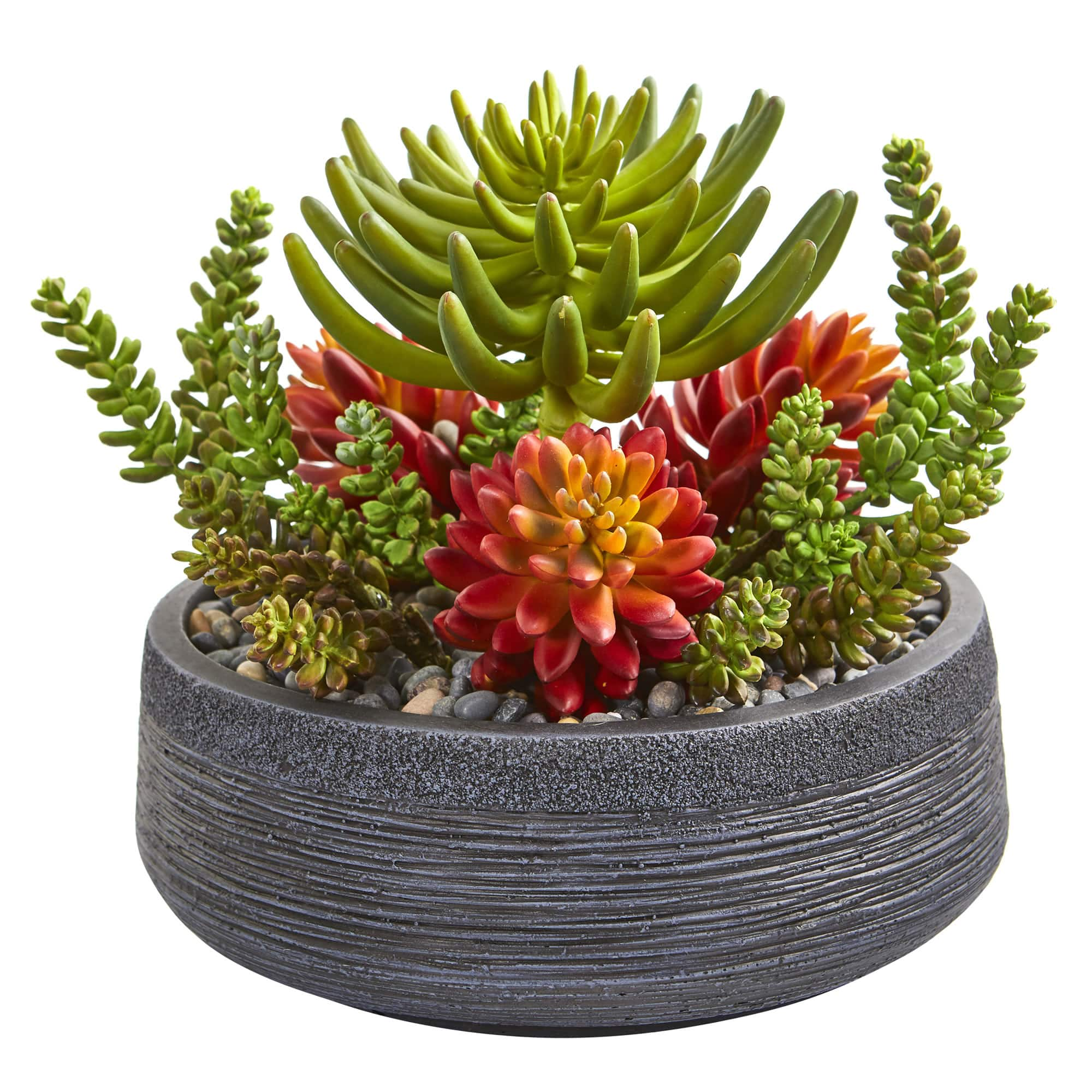 12in. Succulent Garden in Stone Bowl | Michaels