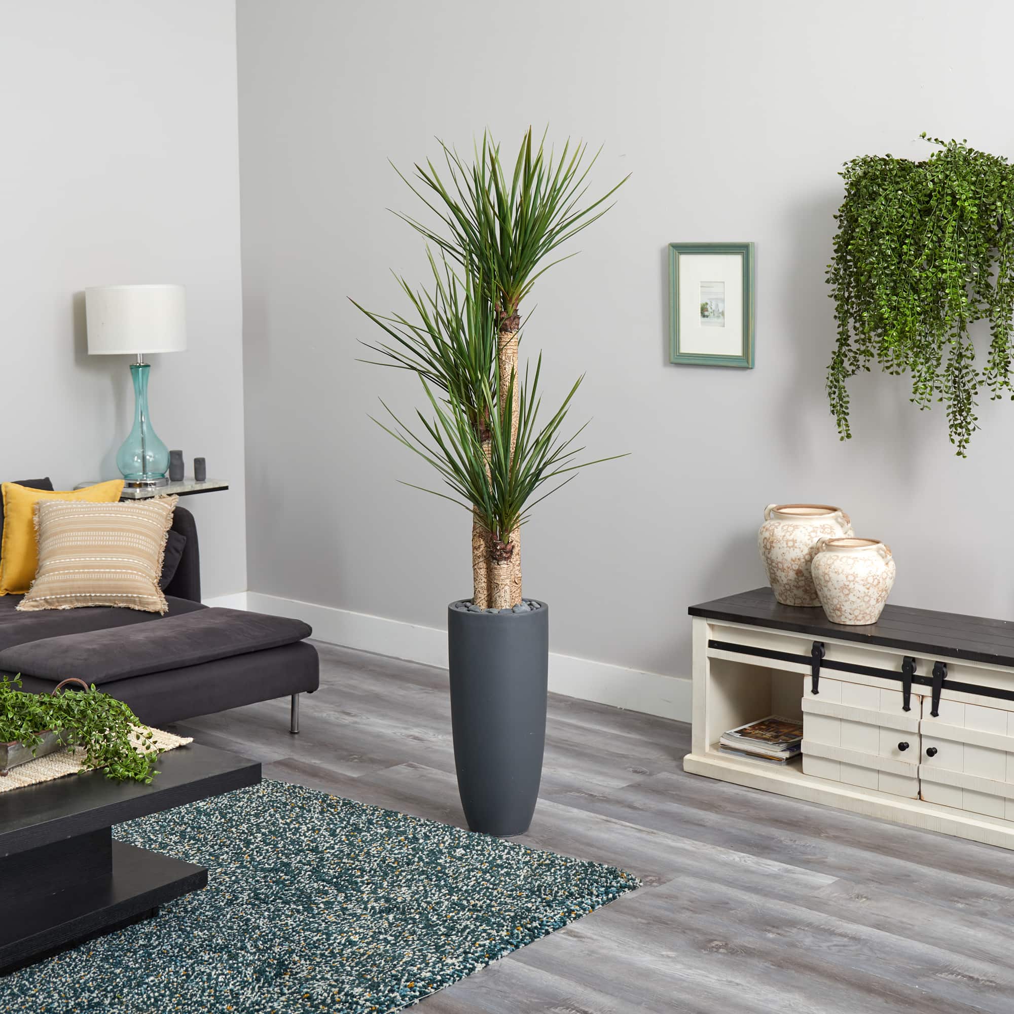 6ft. Yucca Tree in Black Planter