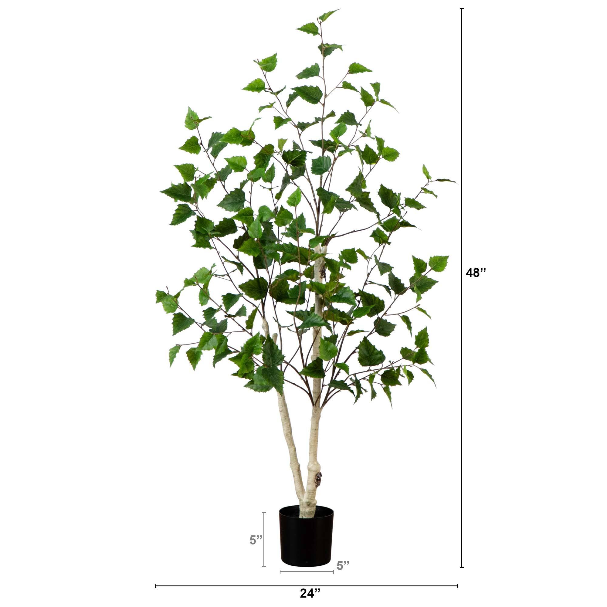 4ft. Potted Green Artificial Birch Tree with Real Touch Leaves