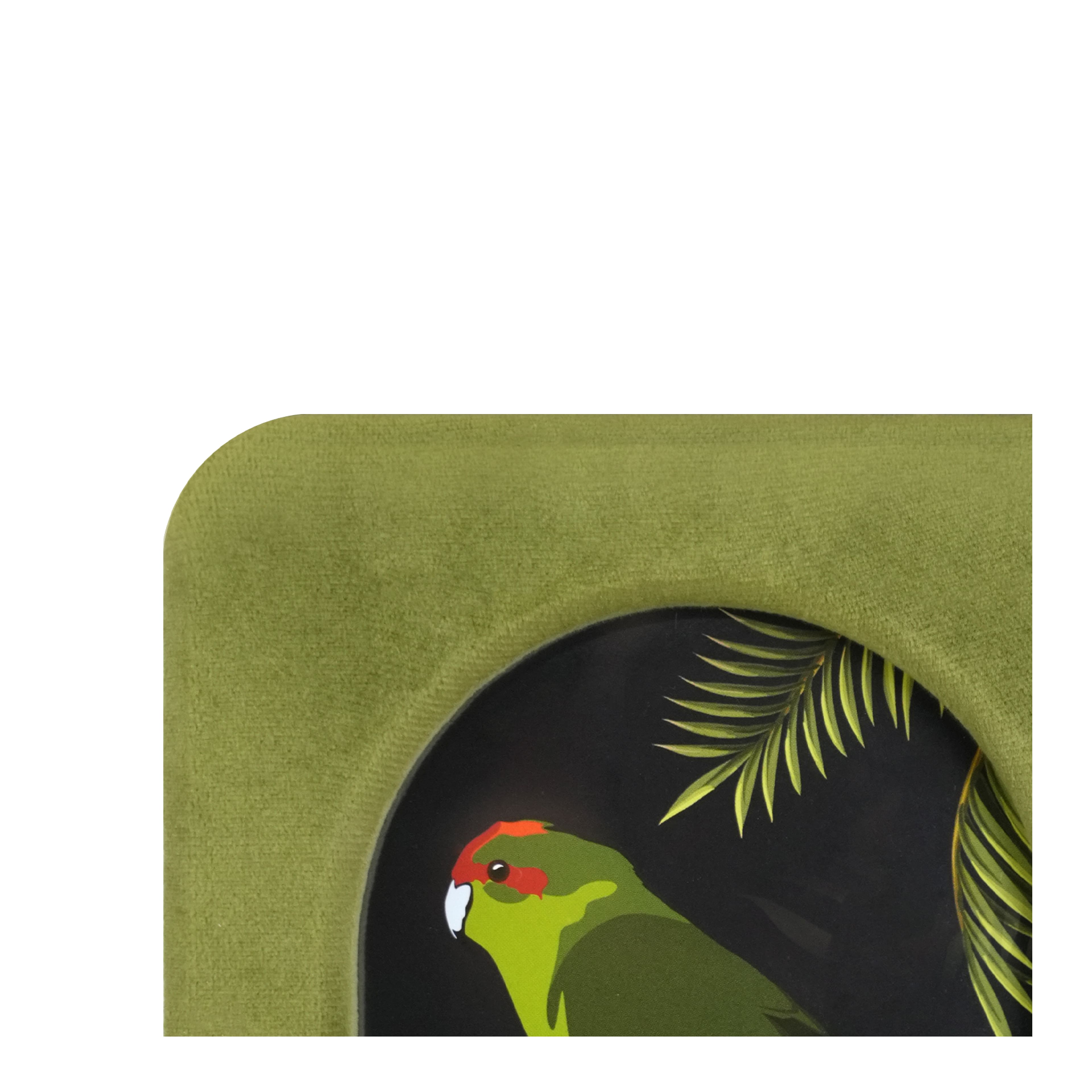 Safari 4&#x22; x 6&#x22; Velvet Frame with Round Opening by Ashland&#xAE;