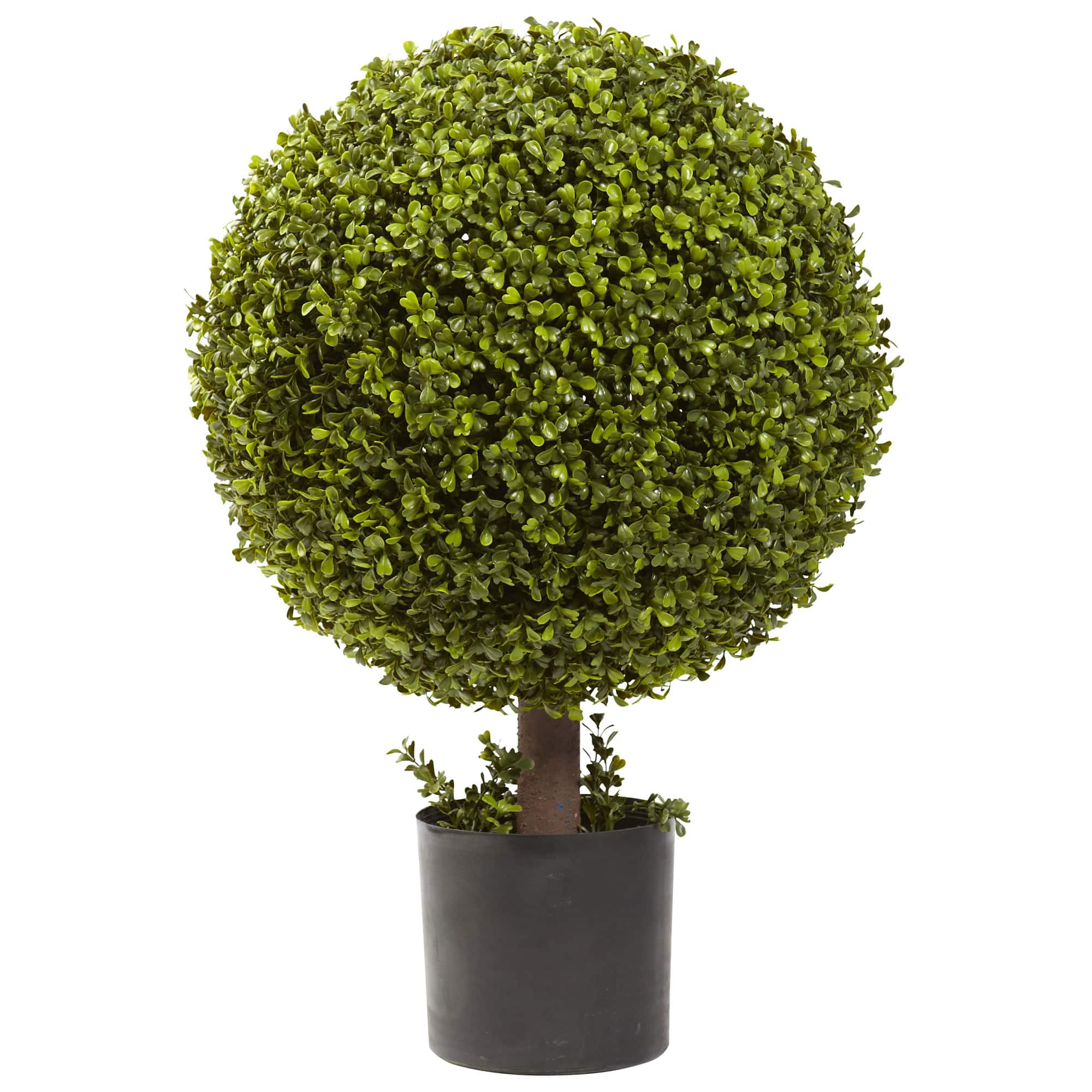 2.5ft. Potted Boxwood Ball Topiary Tree