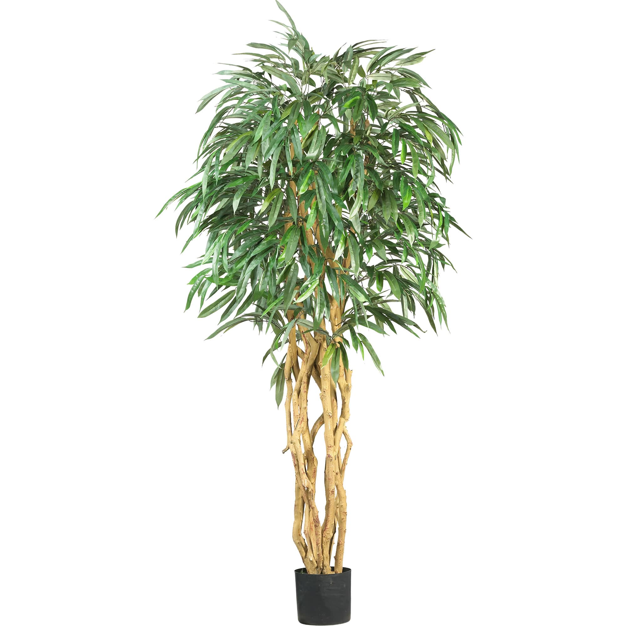 6ft. Potted Weeping Ficus Silk Tree