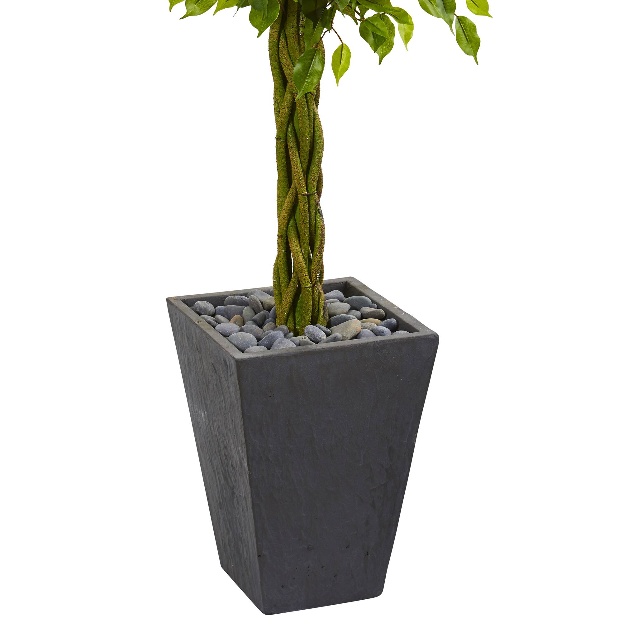 5ft. UV Resistant Braided Ficus Artificial Tree in Slate Planter