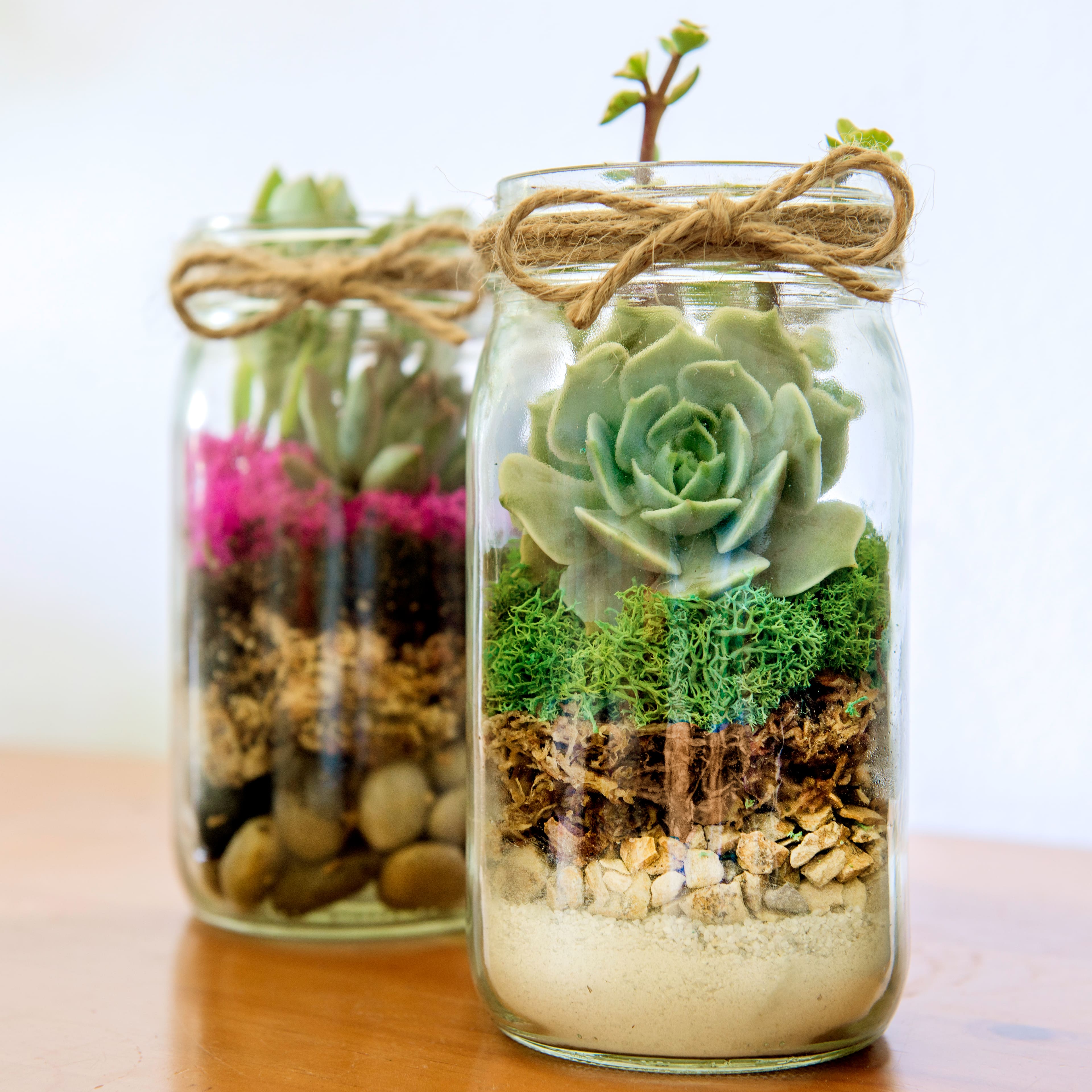 24 Pack: SuperMoss® Preserved Forest Reindeer Moss