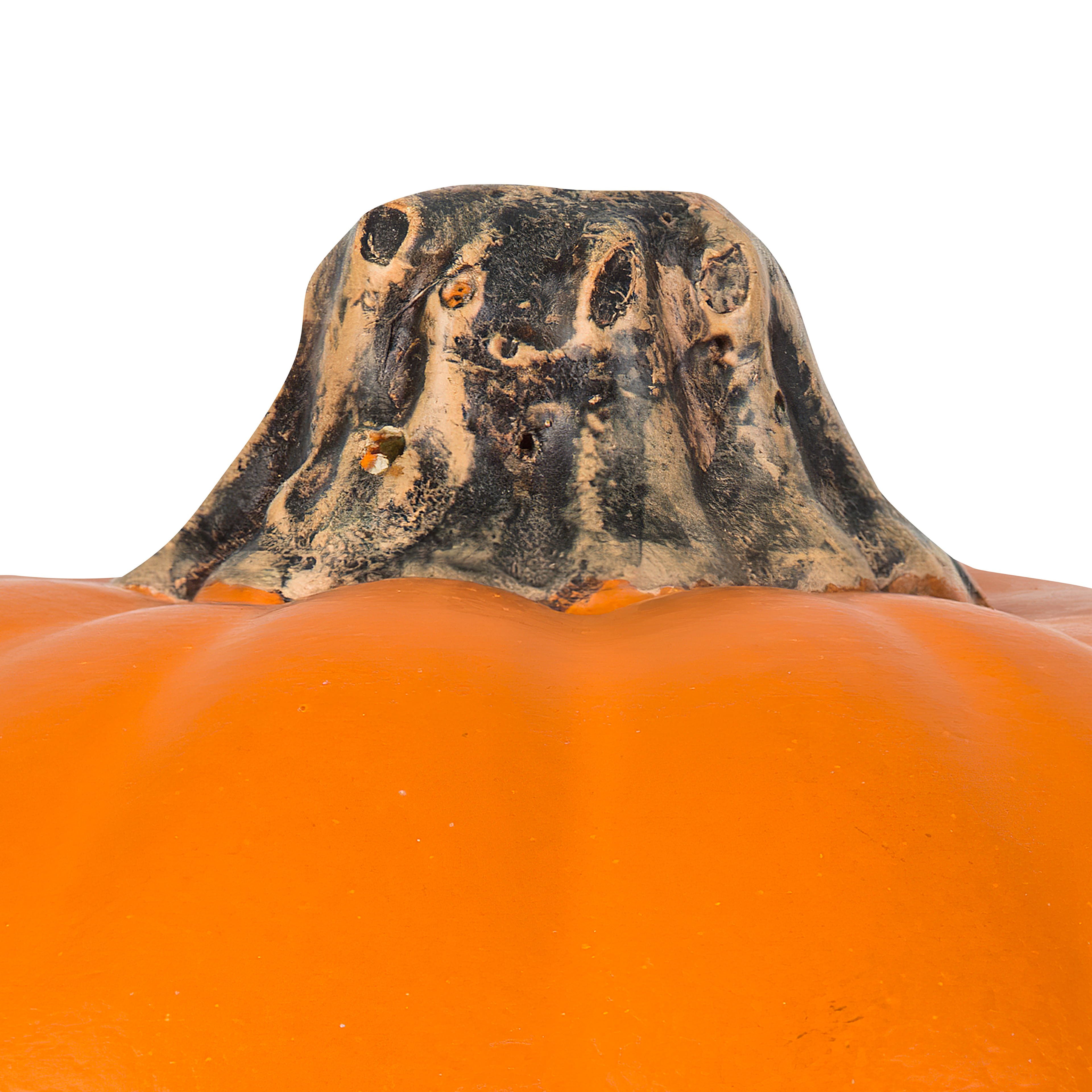 6&#x22; Orange Craft Pumpkin by Ashland&#xAE;