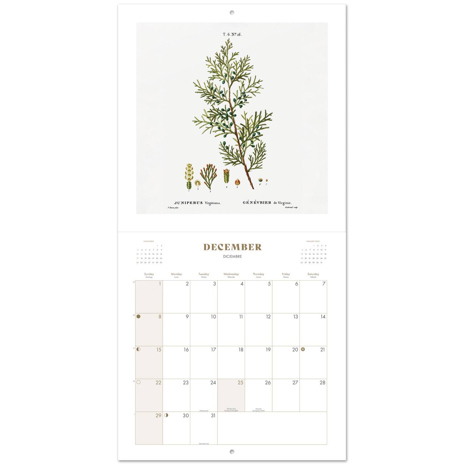 TF Publishing 2024 Botany Bilingual Wall Calendar