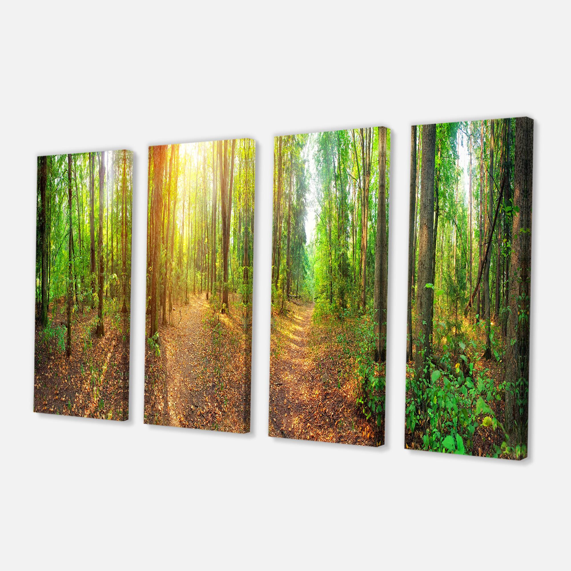 Designart - Dense Forest Panorama - Landscape Canvas Art Print