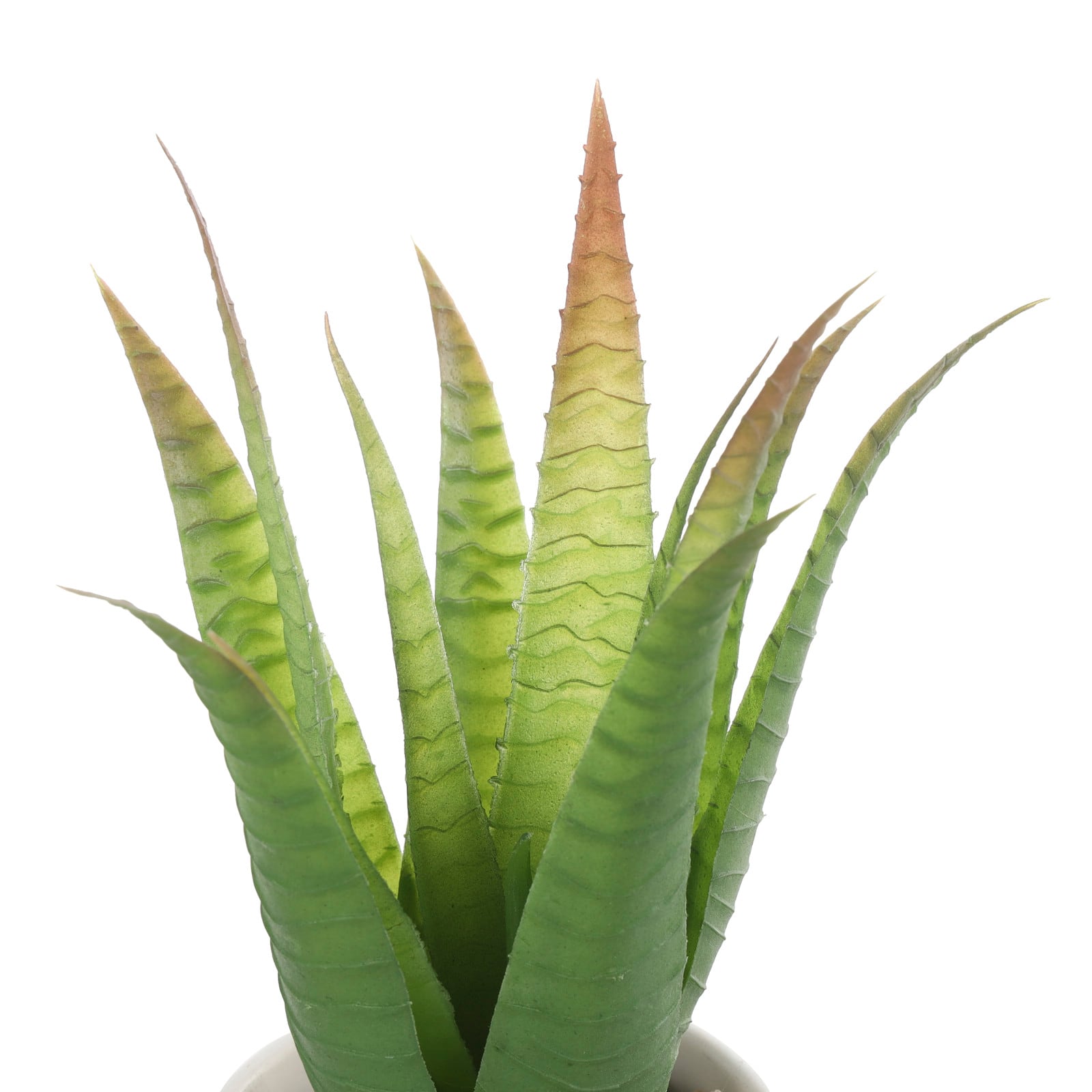 13&#x22; Green Aloe Artificial Plant in White Pot