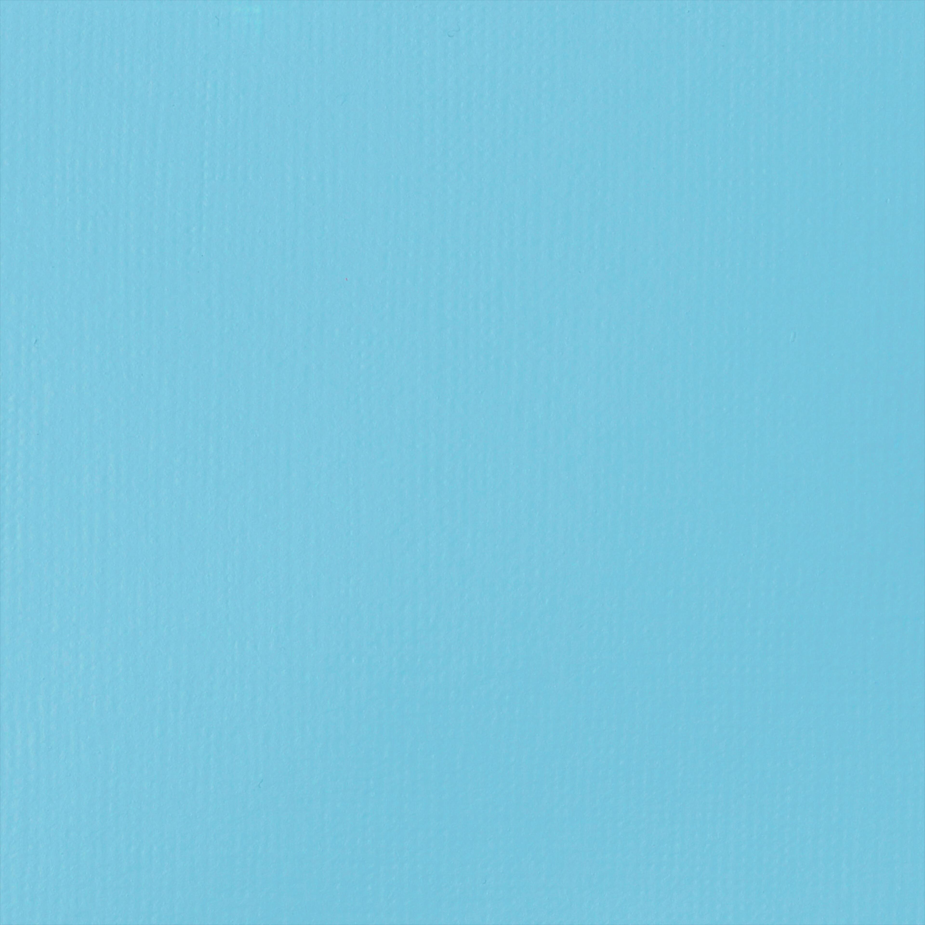 Liquitex&#xAE; BASICS&#x2122; 13.5oz. Acrylic Paint