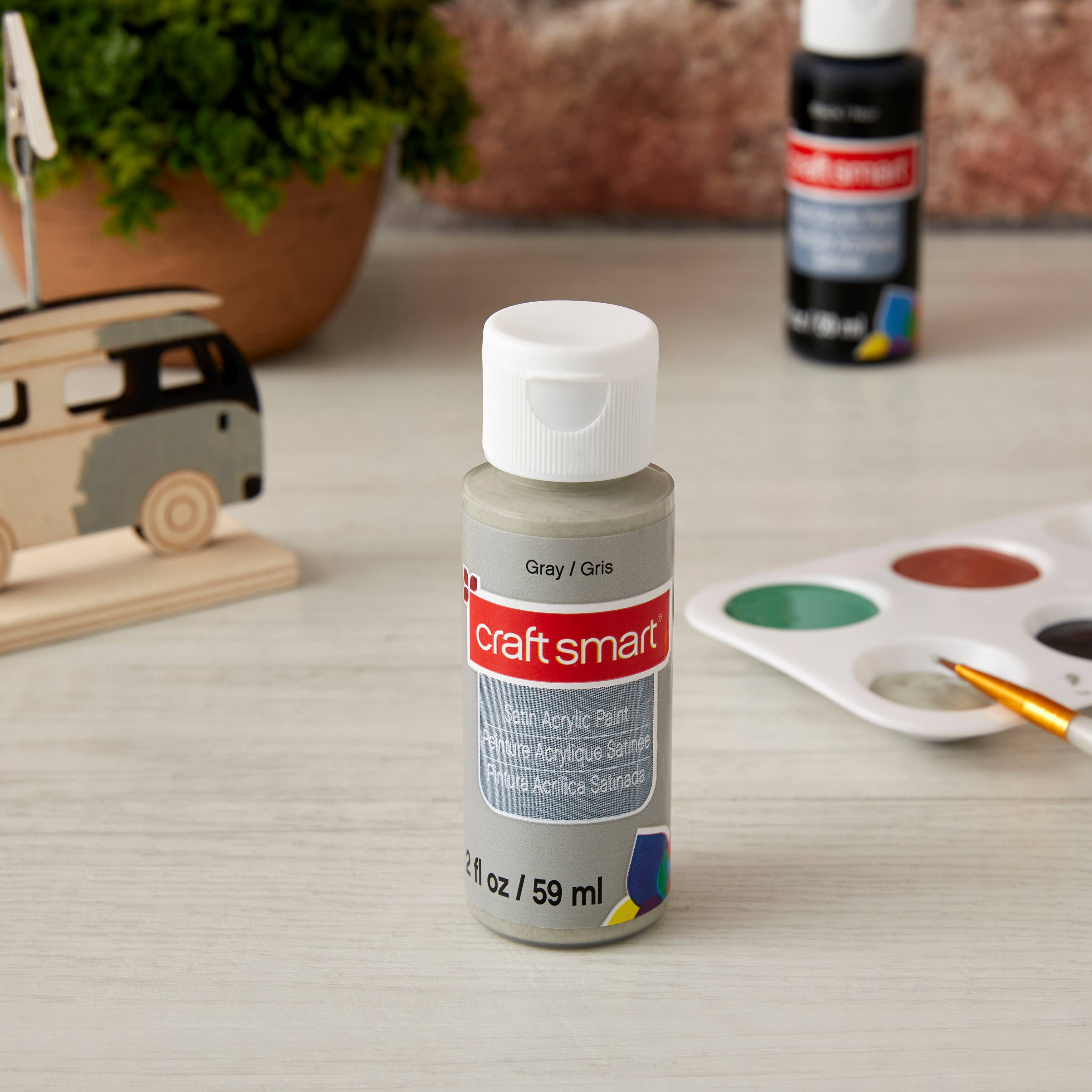 Peinture acrylique satinée Craft Smart, 59 ml