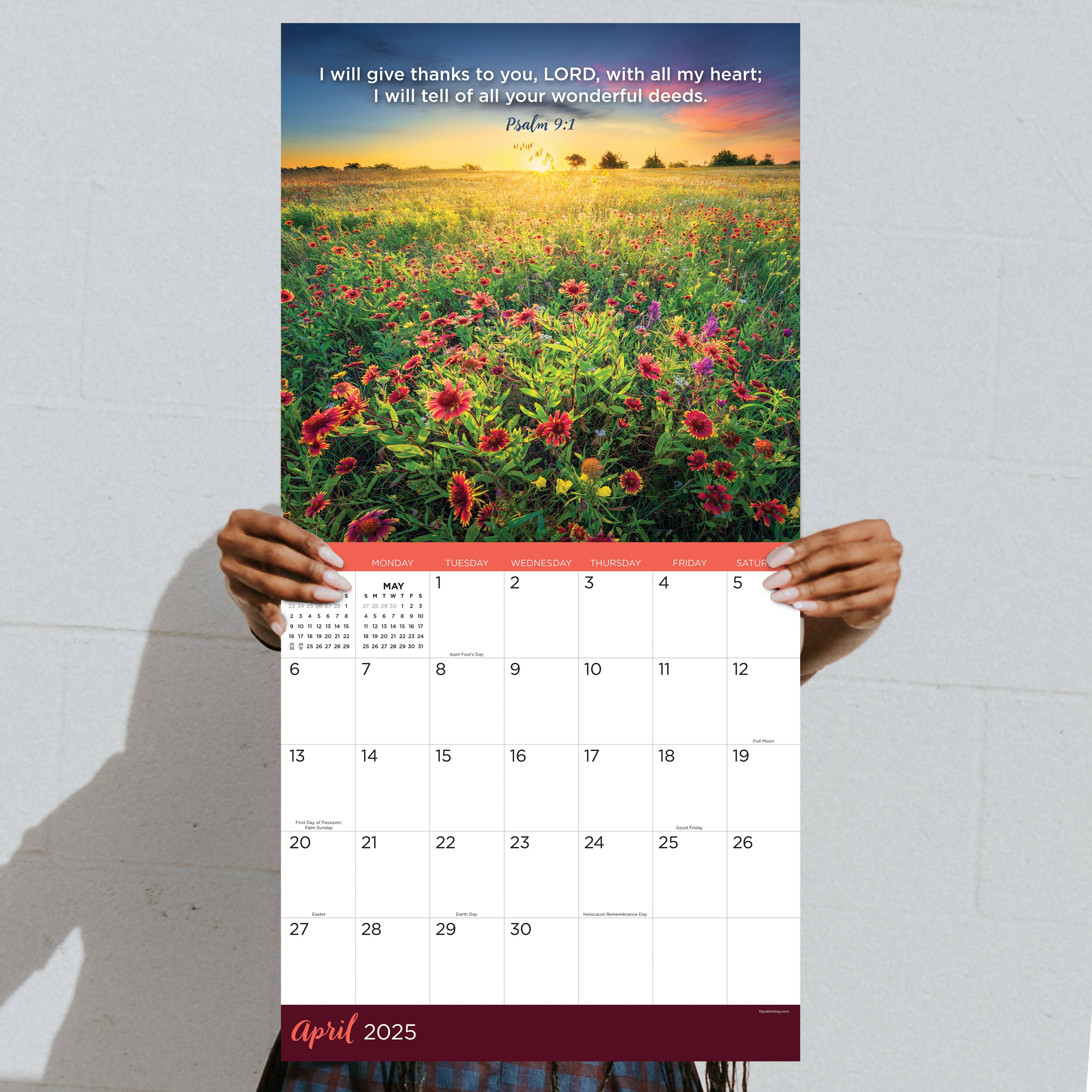 TF Publishing 2025 Psalms Wall Calendar | Michaels