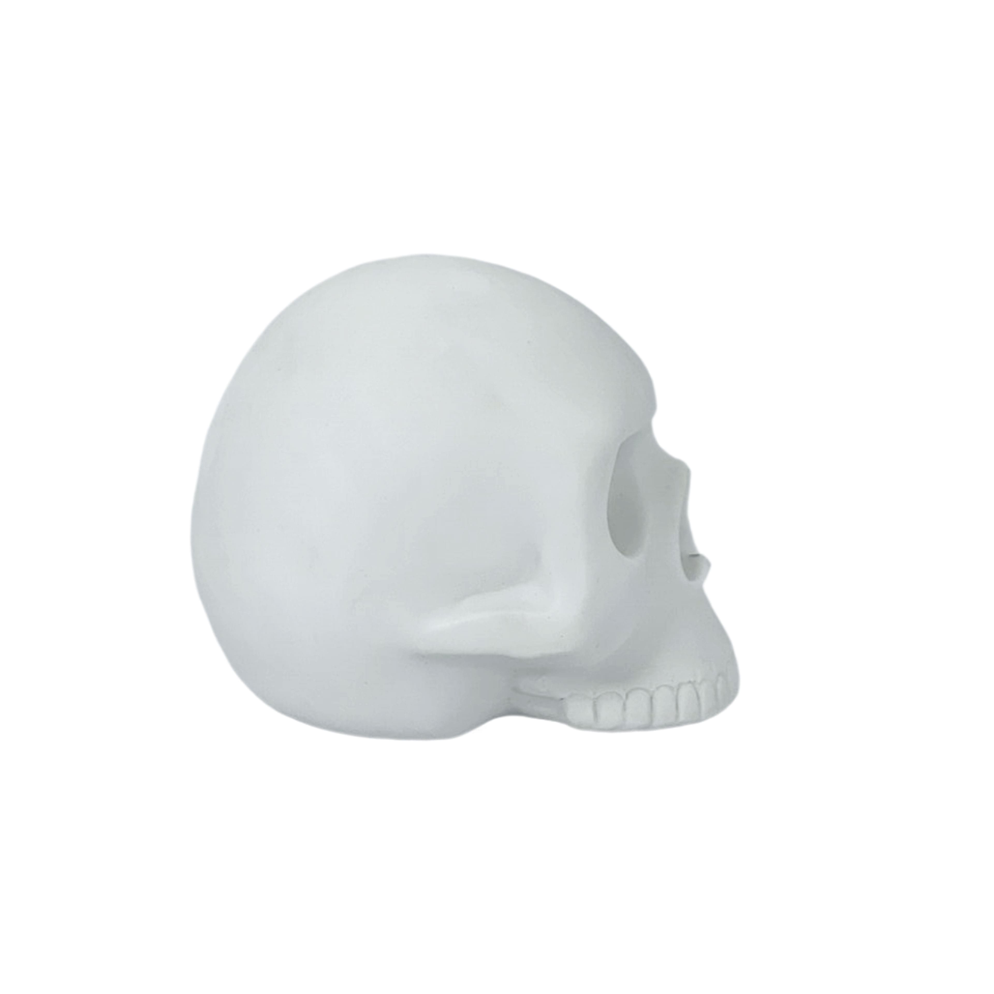 4&#x22; DIY Resin D&#xE9;cor Skulls, 3ct. by Make Market&#xAE;