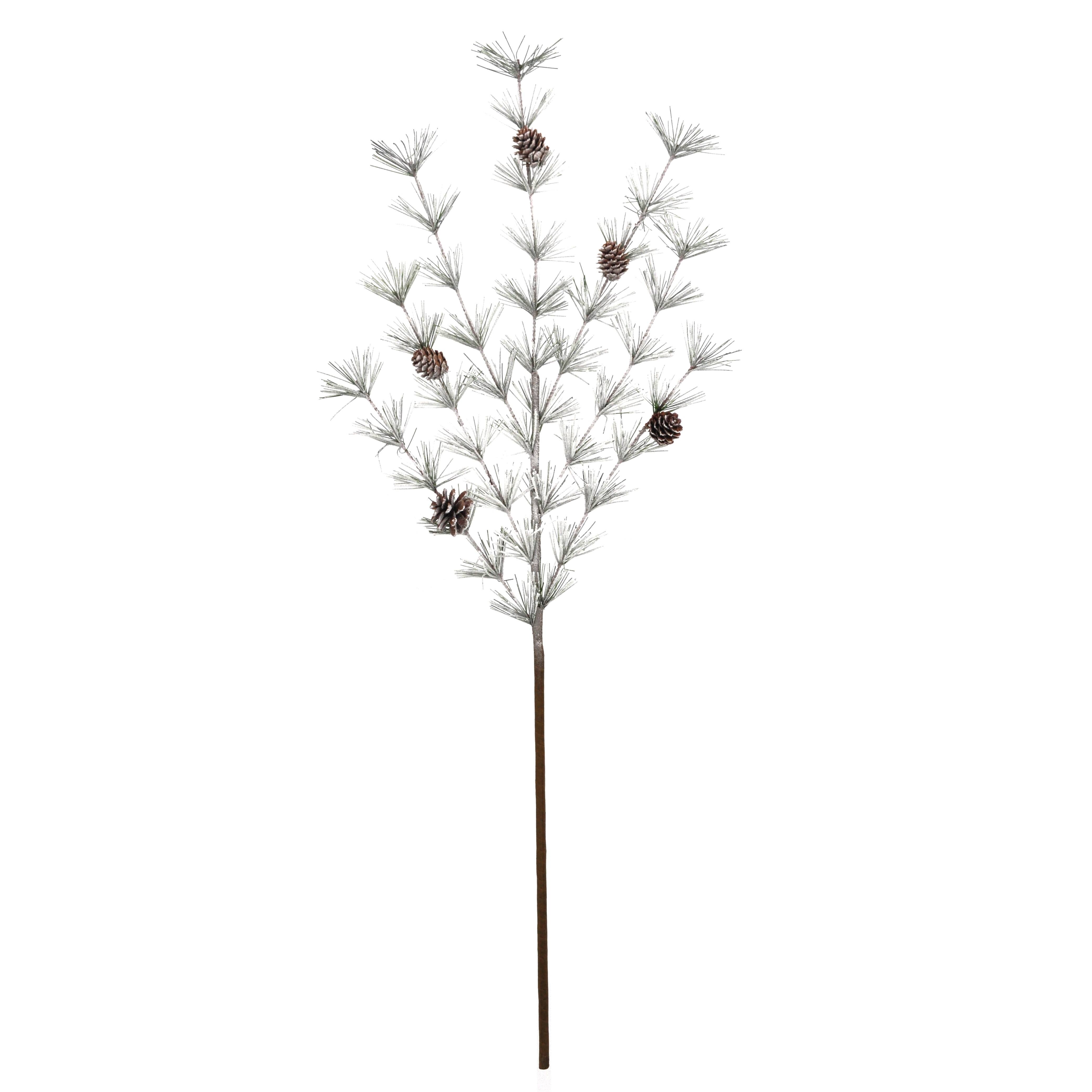 Black Pampas Grass Stem by Ashland®