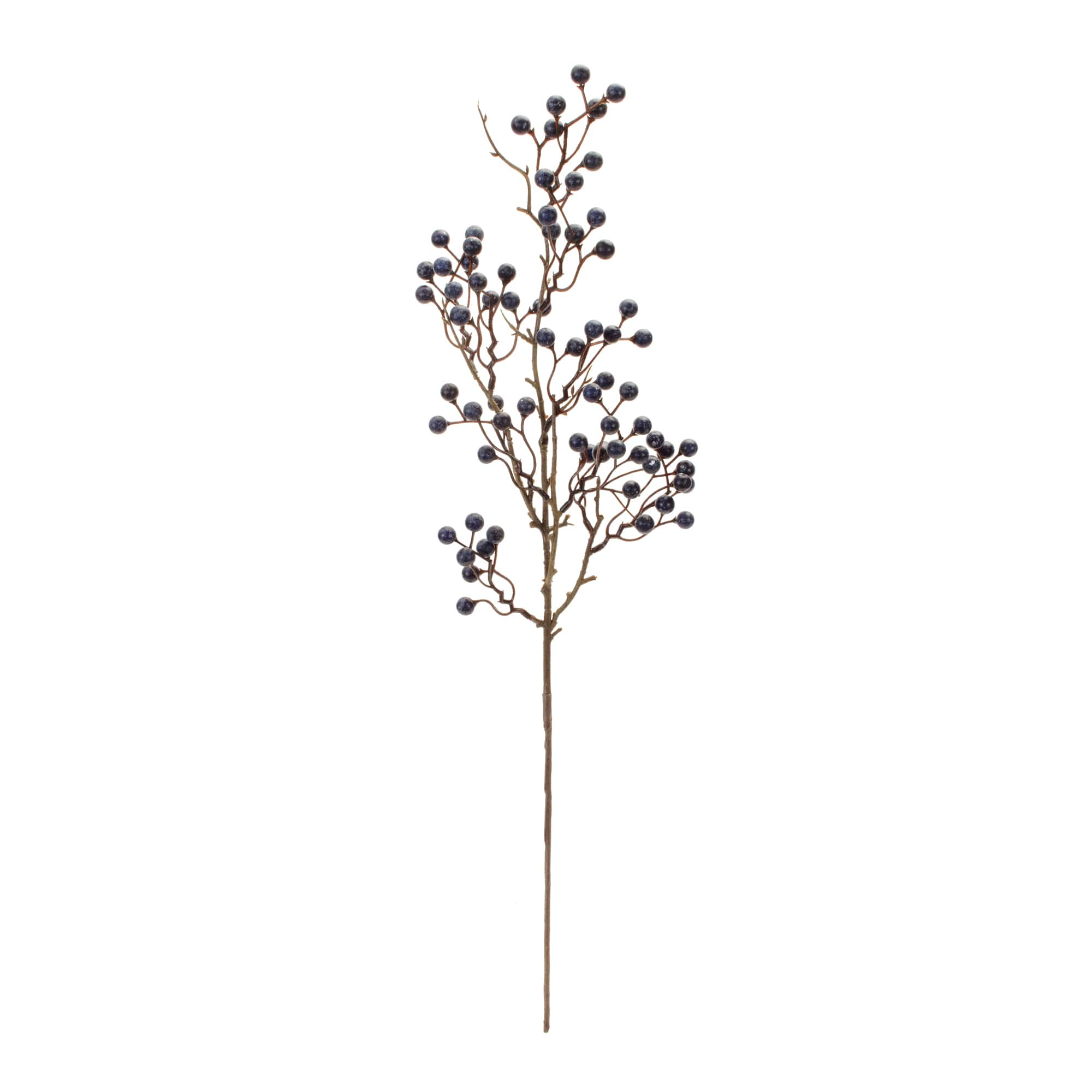 Blue Berry Twig Branches, 6ct.