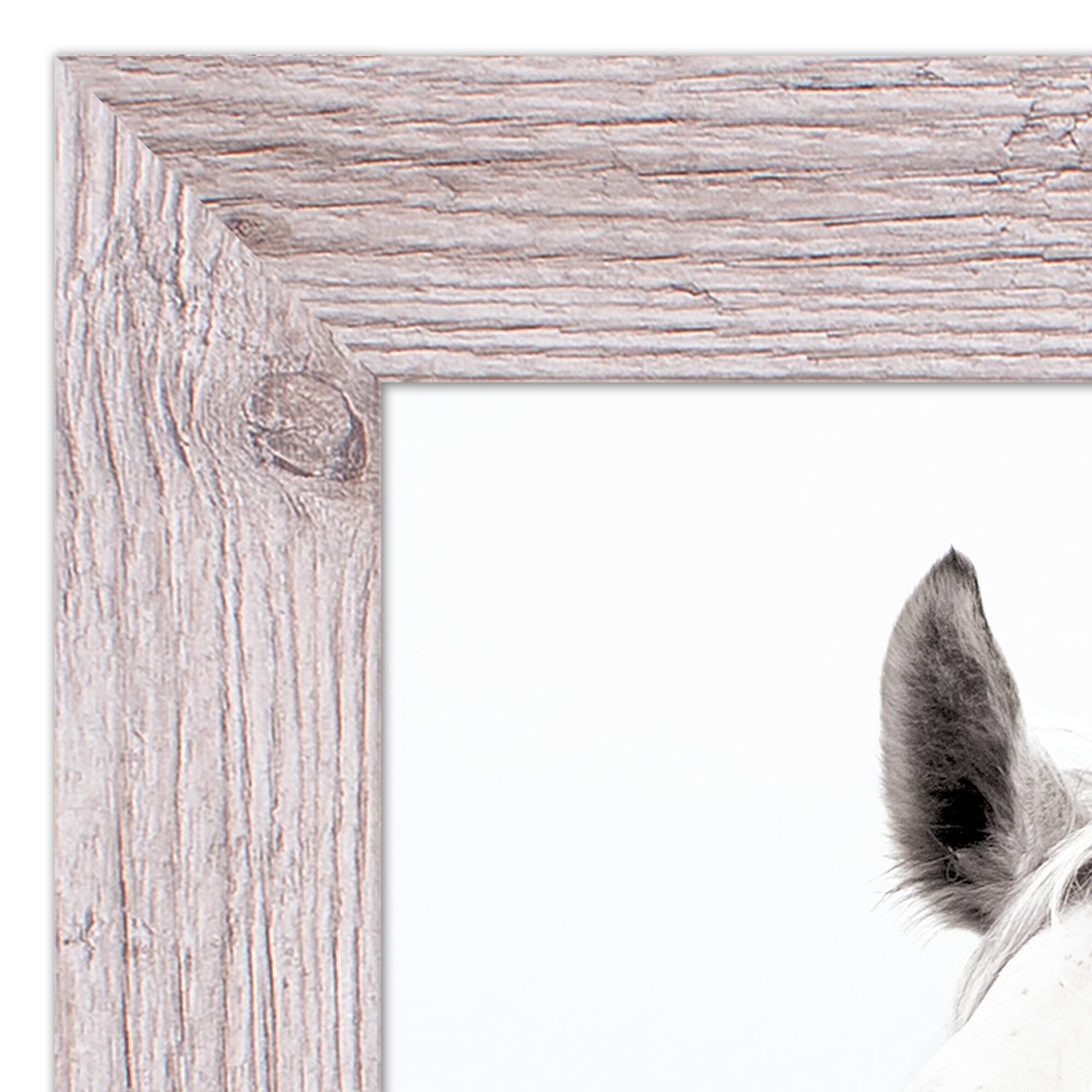 White Horse Western Framed Print