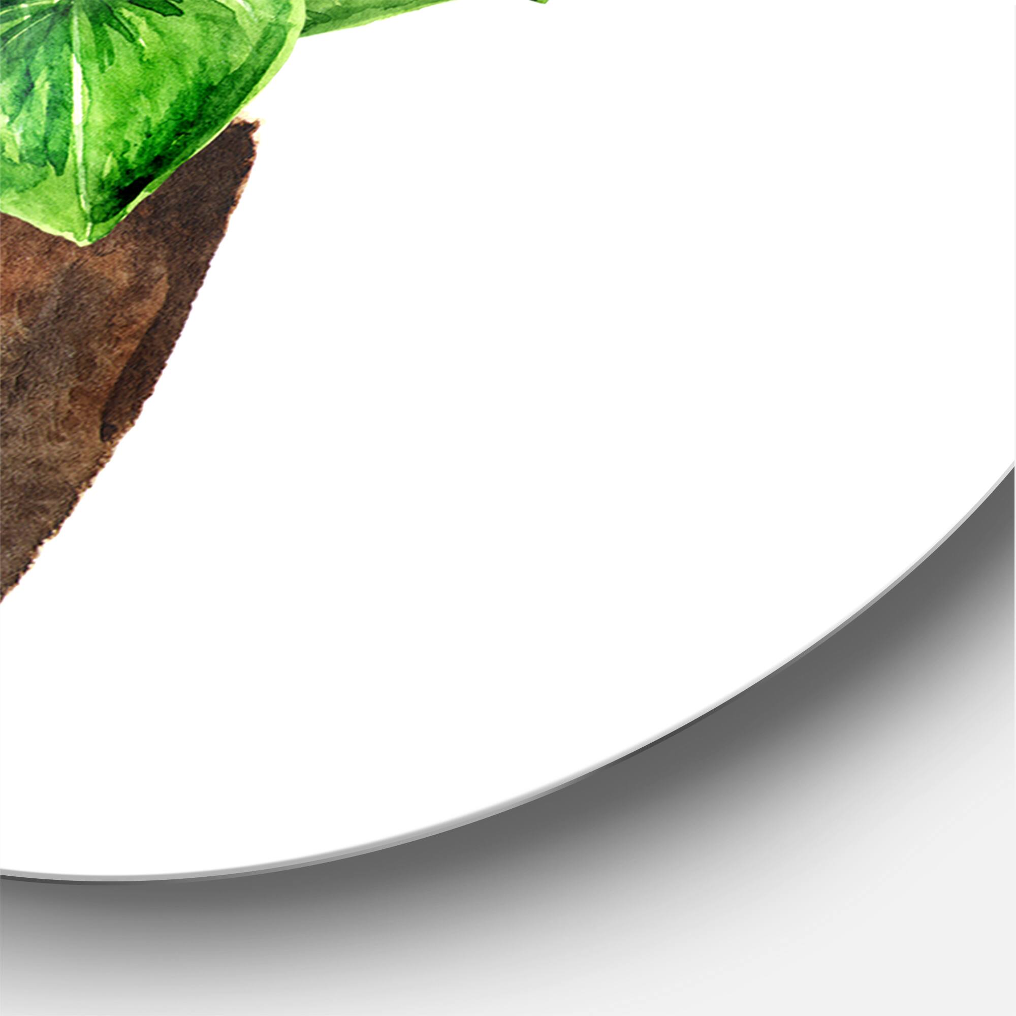 Designart - Anthurium Tailflower Or Flamingo Flower In The Pot