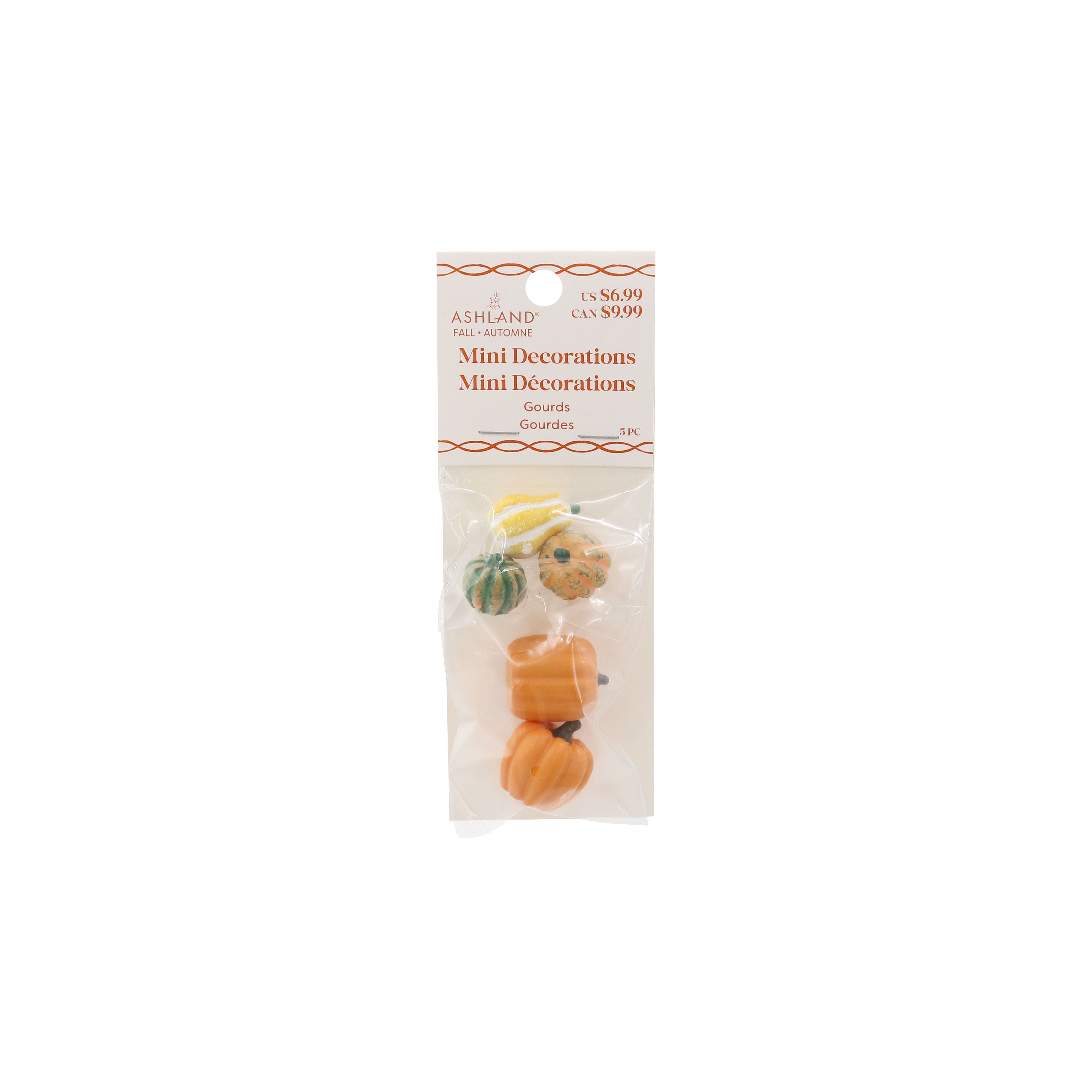 Mini Gourd Set by Ashland&#xAE;