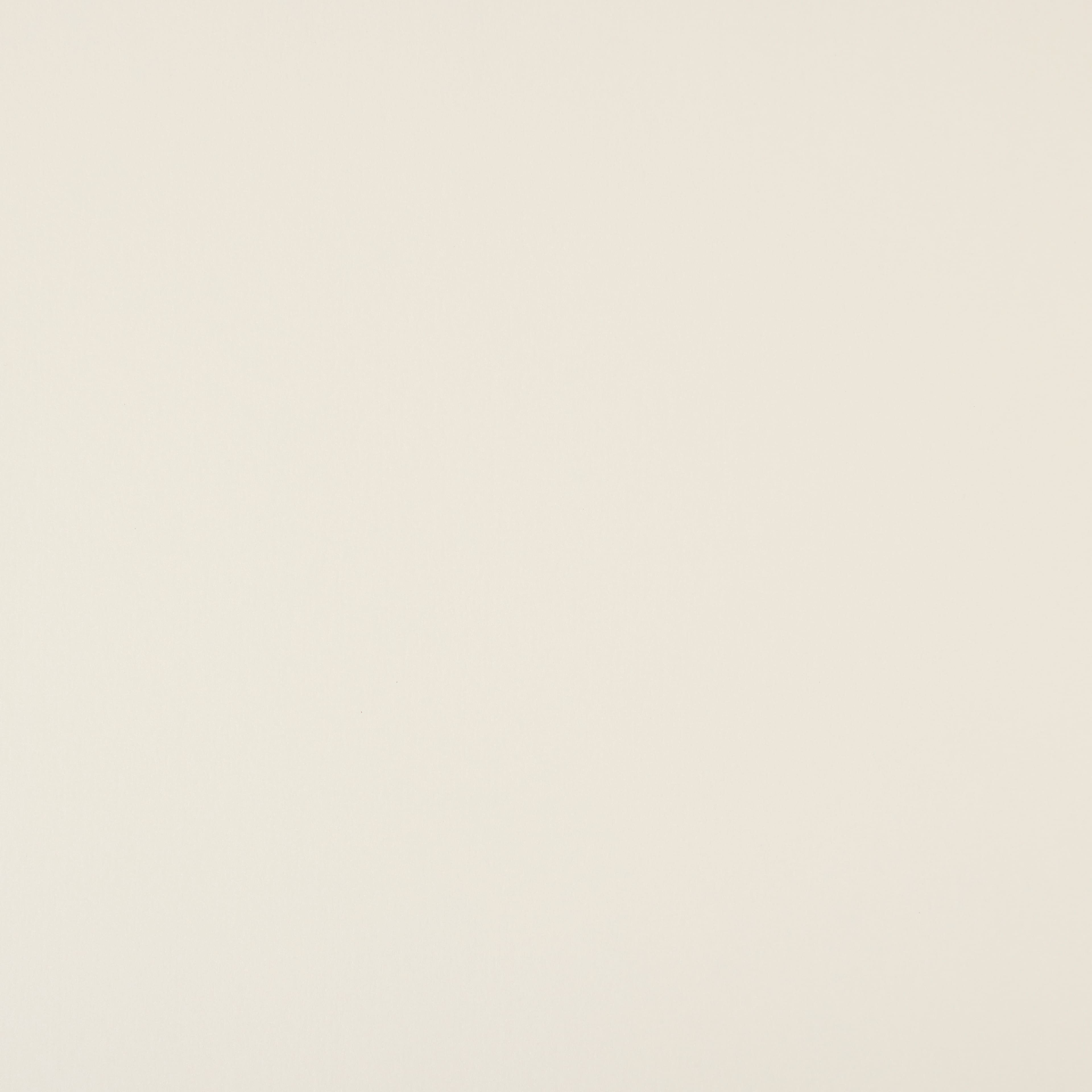 18 Packs: 100 ct. (1,800 total) Signature™ Shimmer Silver & Champagne 8.5" x 11" Cardstock Paper by Recollections®