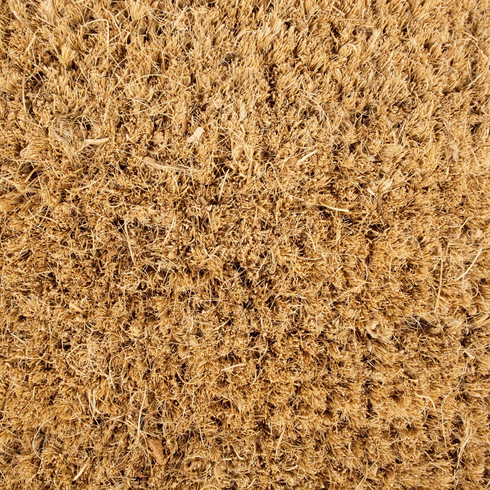 DII&#xAE; Bicycle Doormat