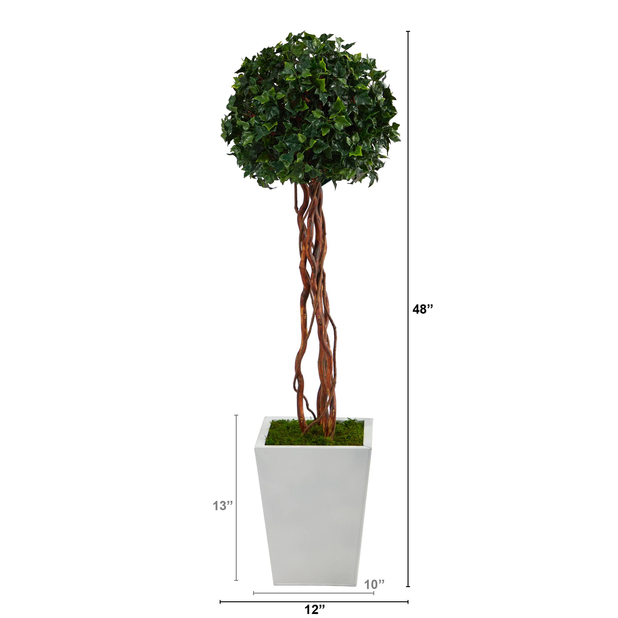 4ft. English Ivy Single Ball Topiary in White Metal Planter